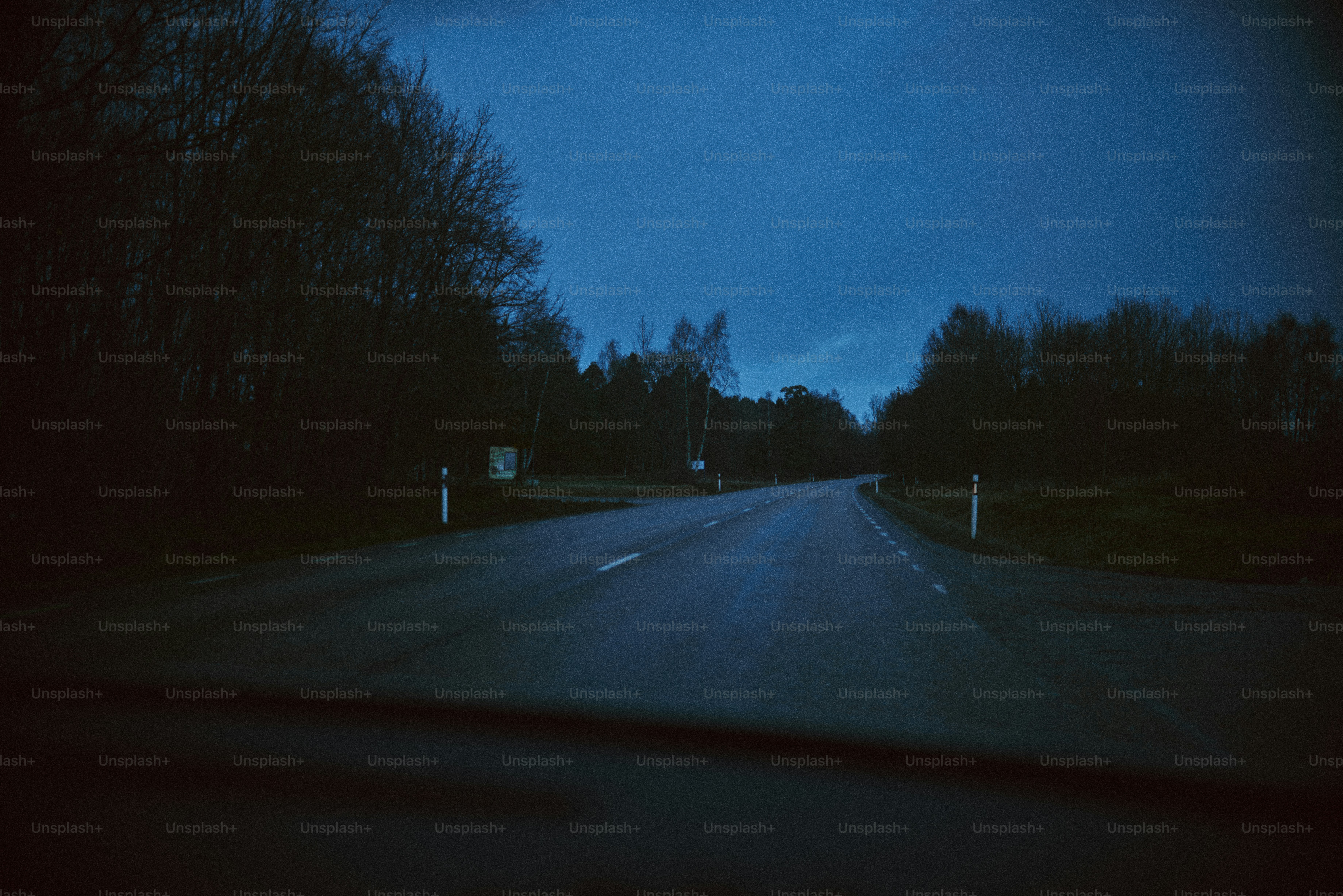 Empty road at dusk with trees on the side