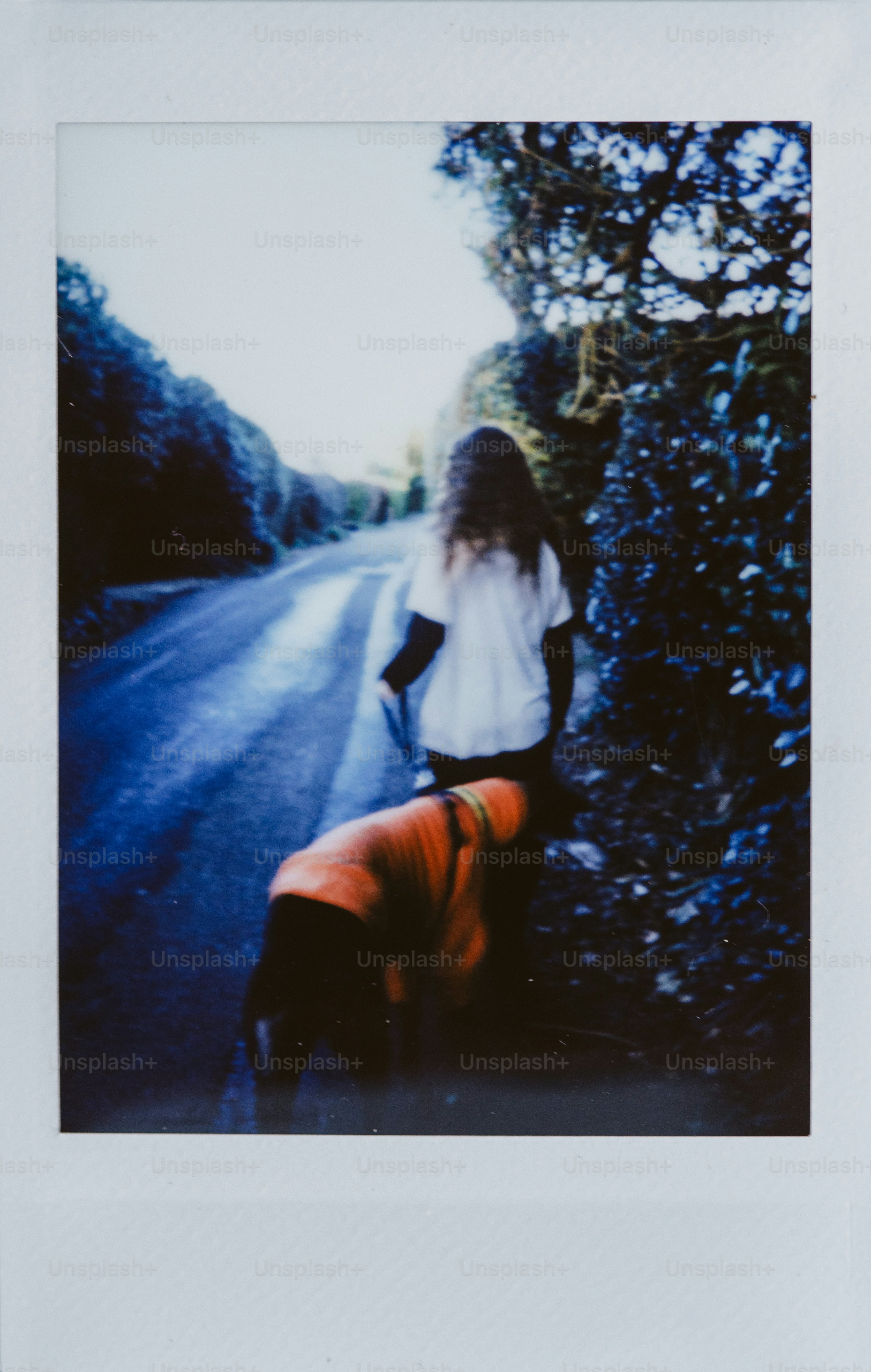 Person walking a dog on a country road