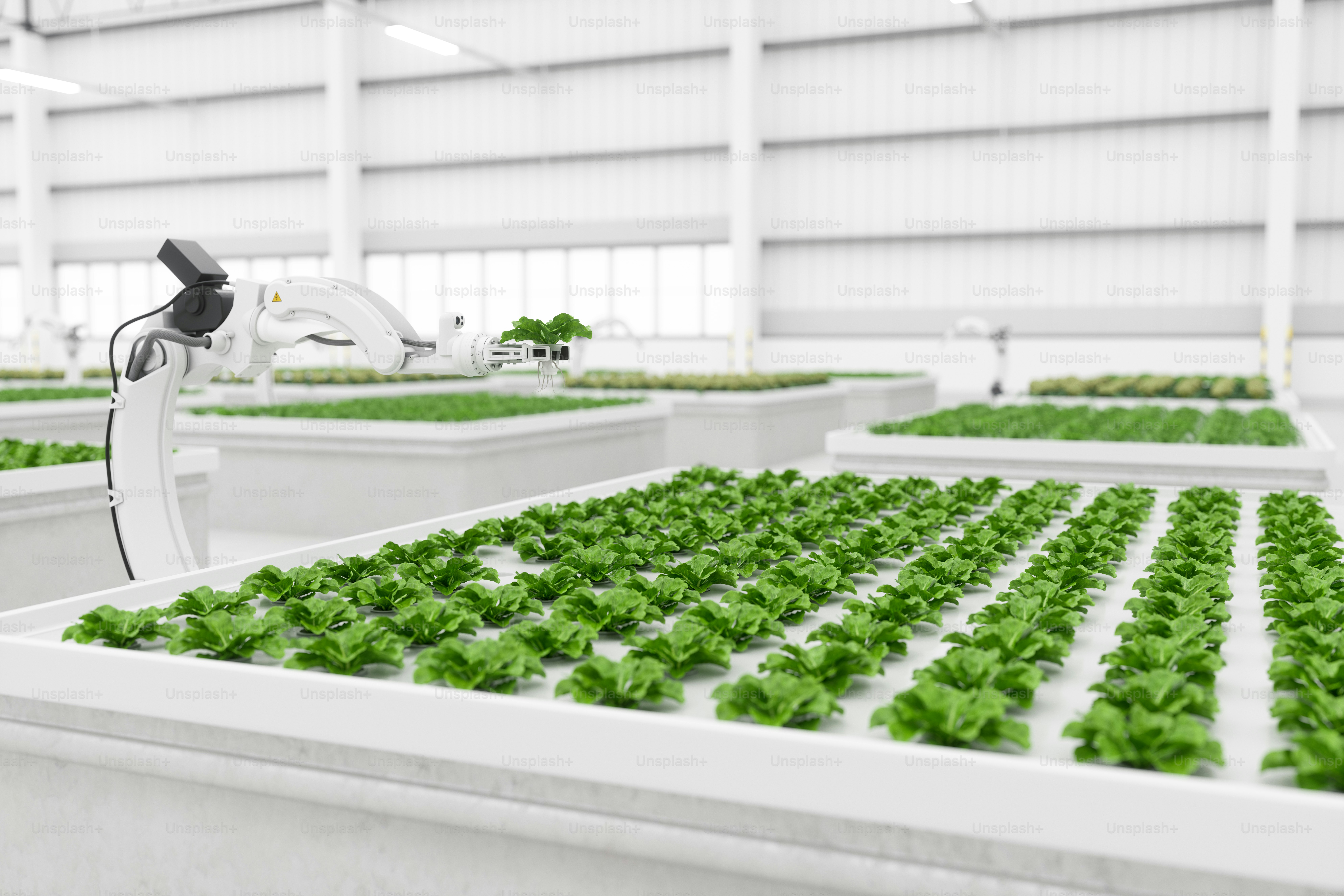 Smart farming facility using robotics and artificial intelligence.