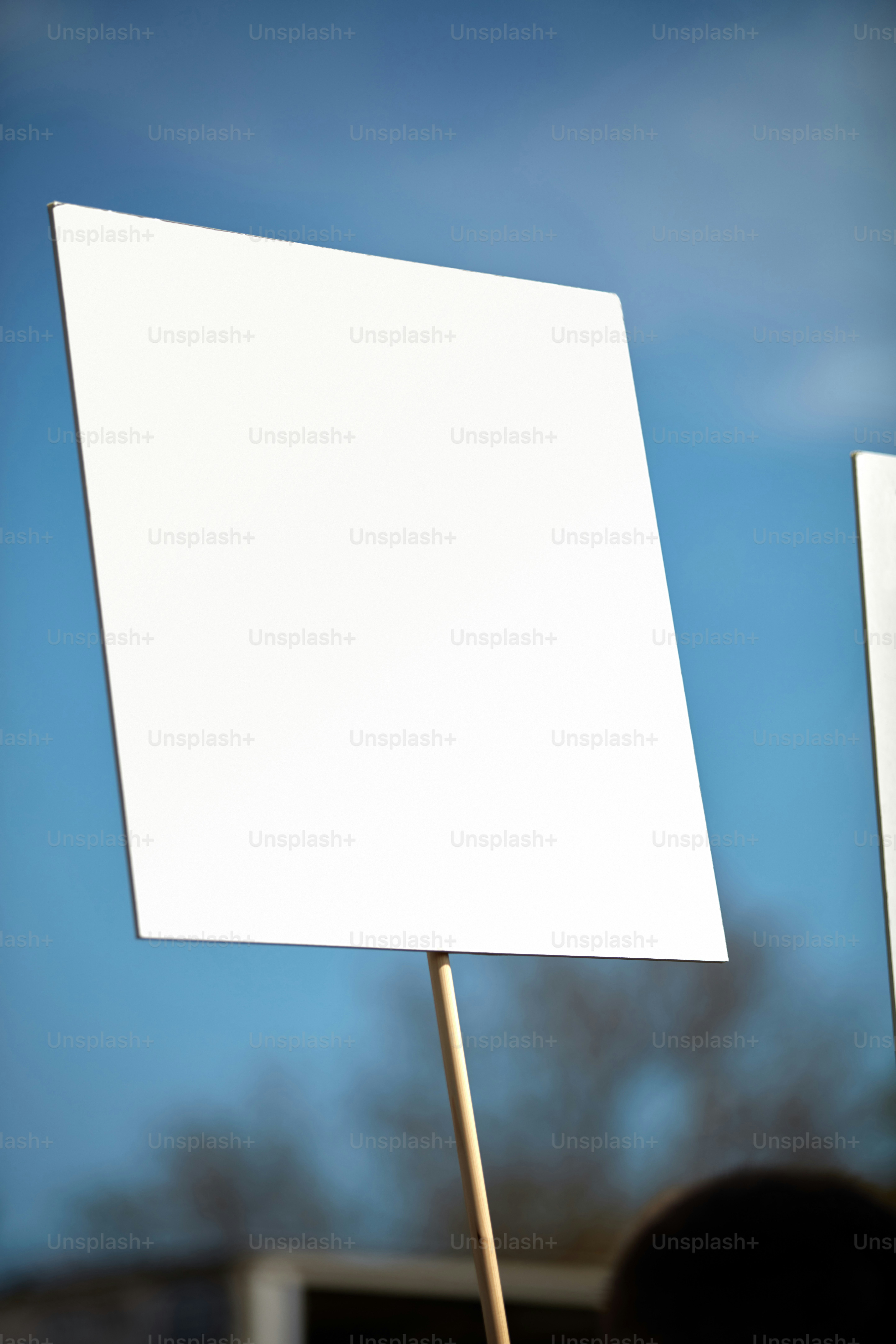 Protesters holding placards and signs on the streets.