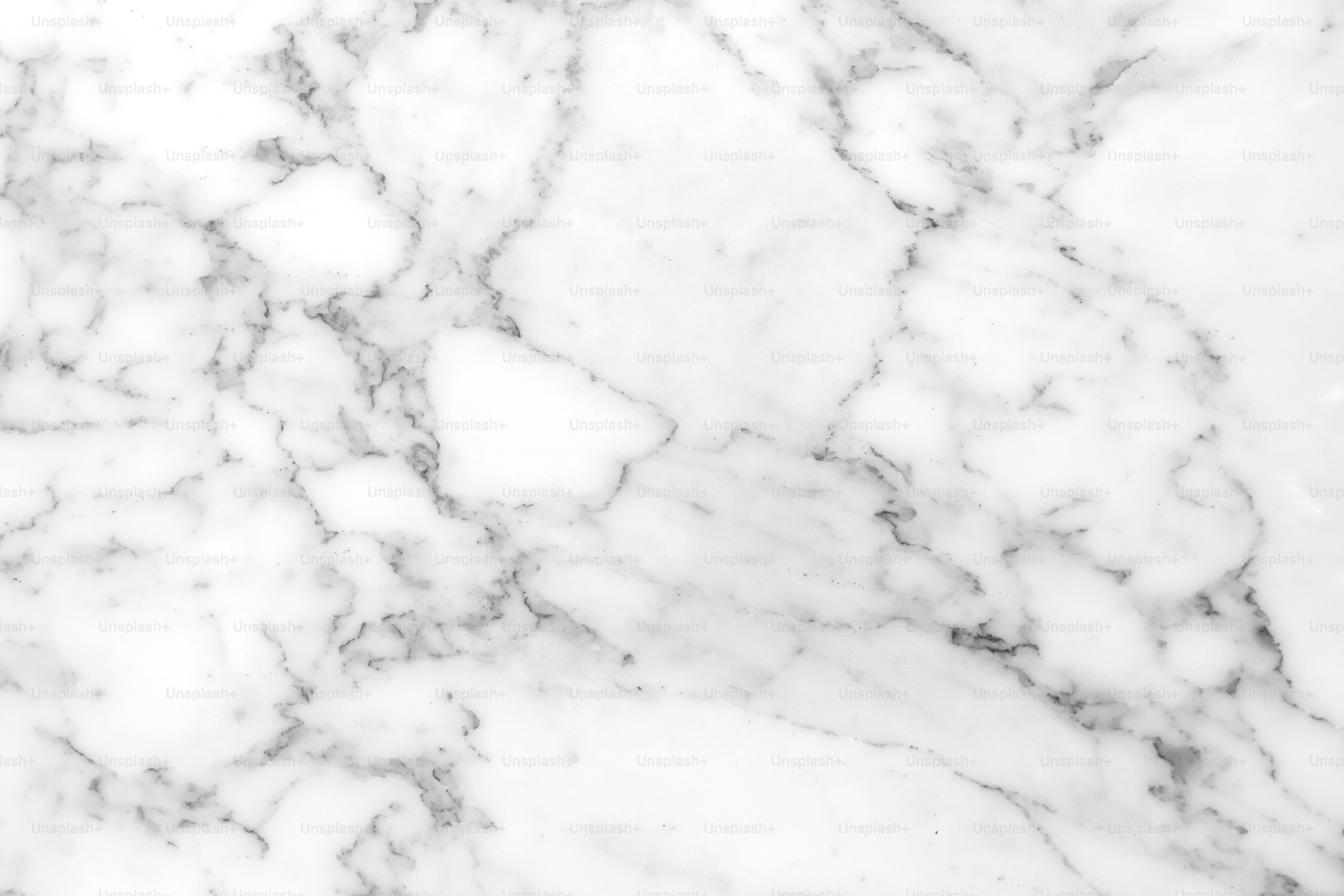 Fondo de patrón de mármol en blanco y negro de línea natural abstracta