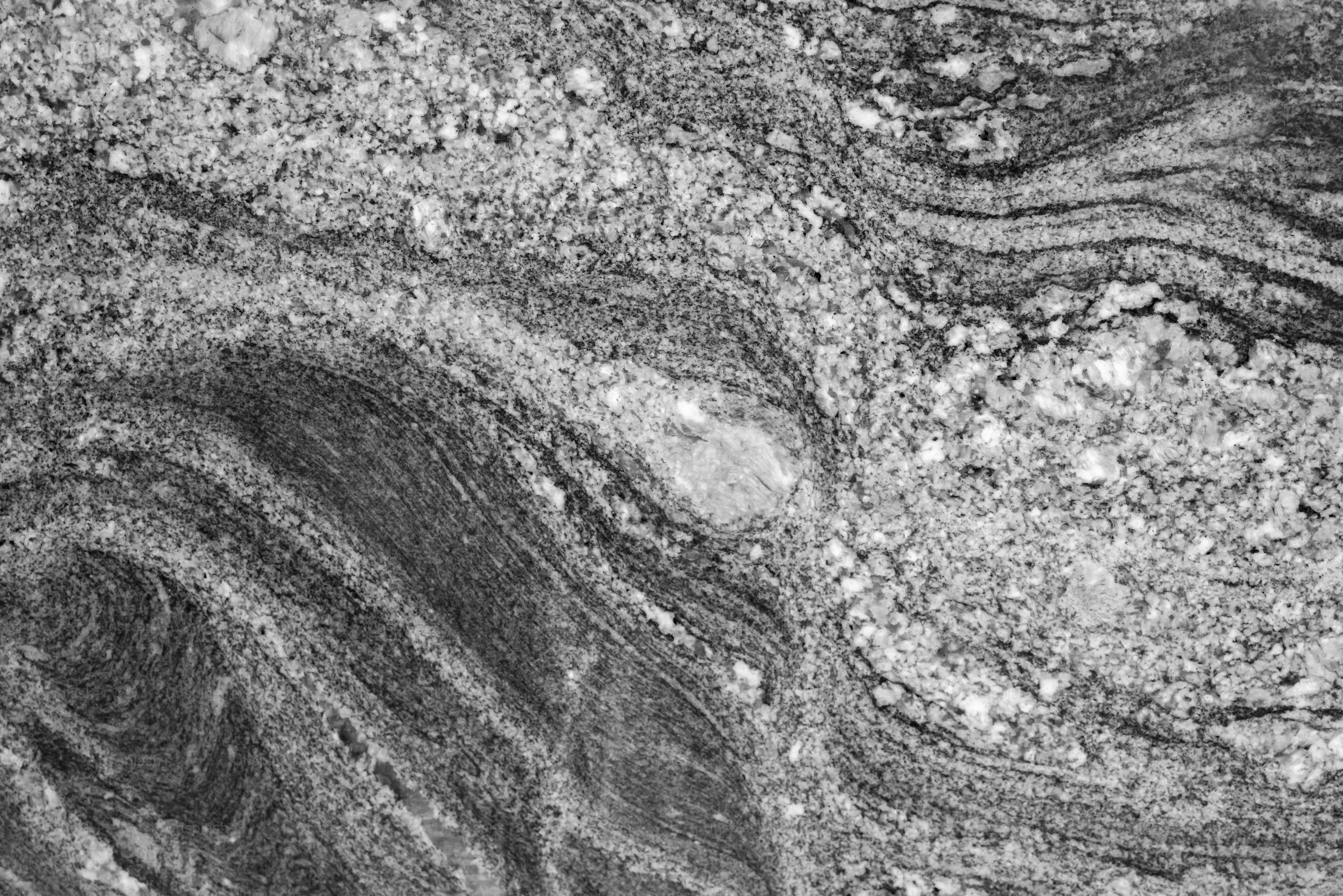 Ligne de courbe naturelle abstraite Fond de motif marbre noir et blanc