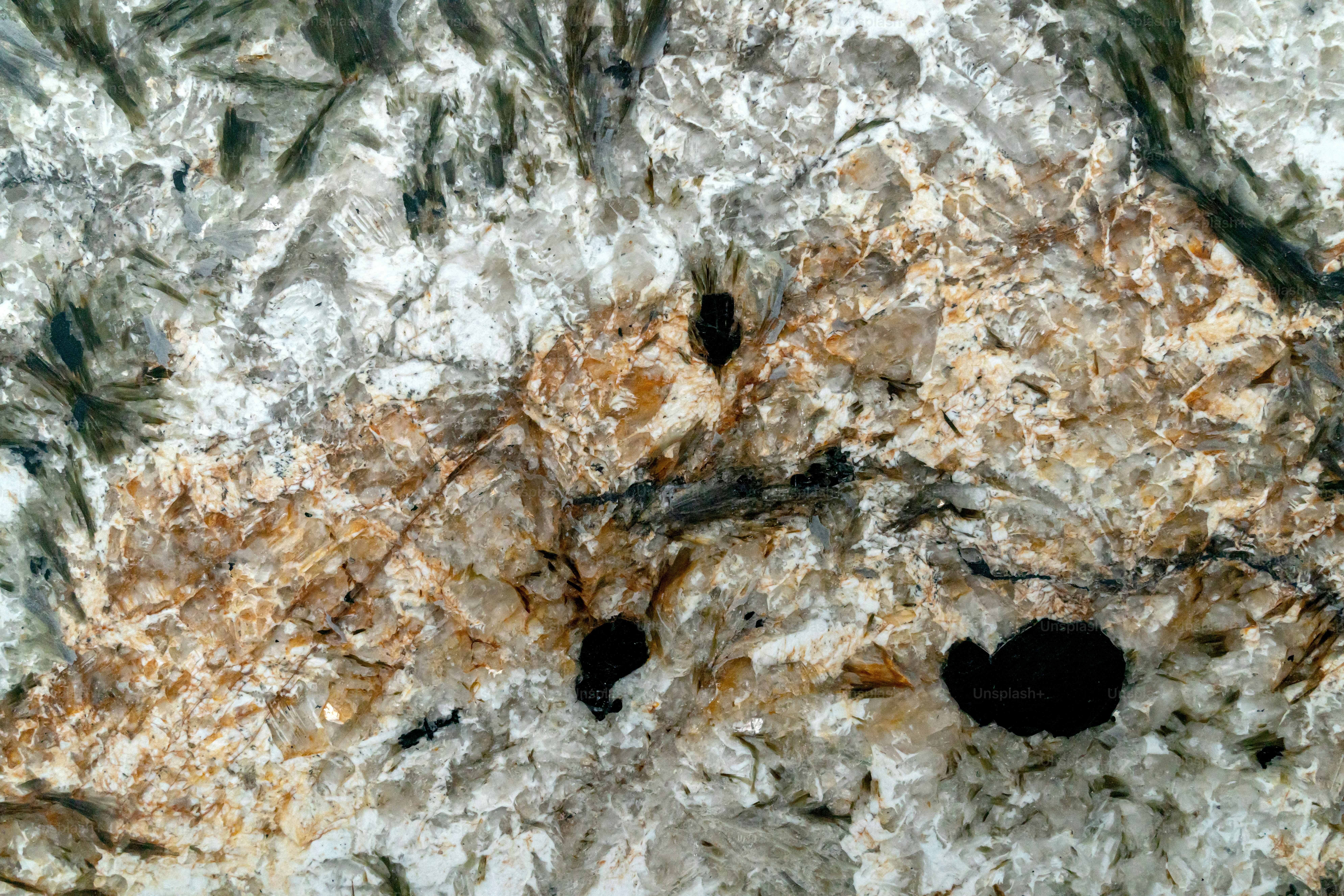 premium_photo-1764687728525-6c0b11a48379?ixid=M3wxMjA3fDB8MXxzZWFyY2h8MXx8c2FsdGVkJTIwaGlkZXN8ZW58MHx8fHwxNzY1ODAzODU5fDA\u0026ixlib=rb-4.1.0