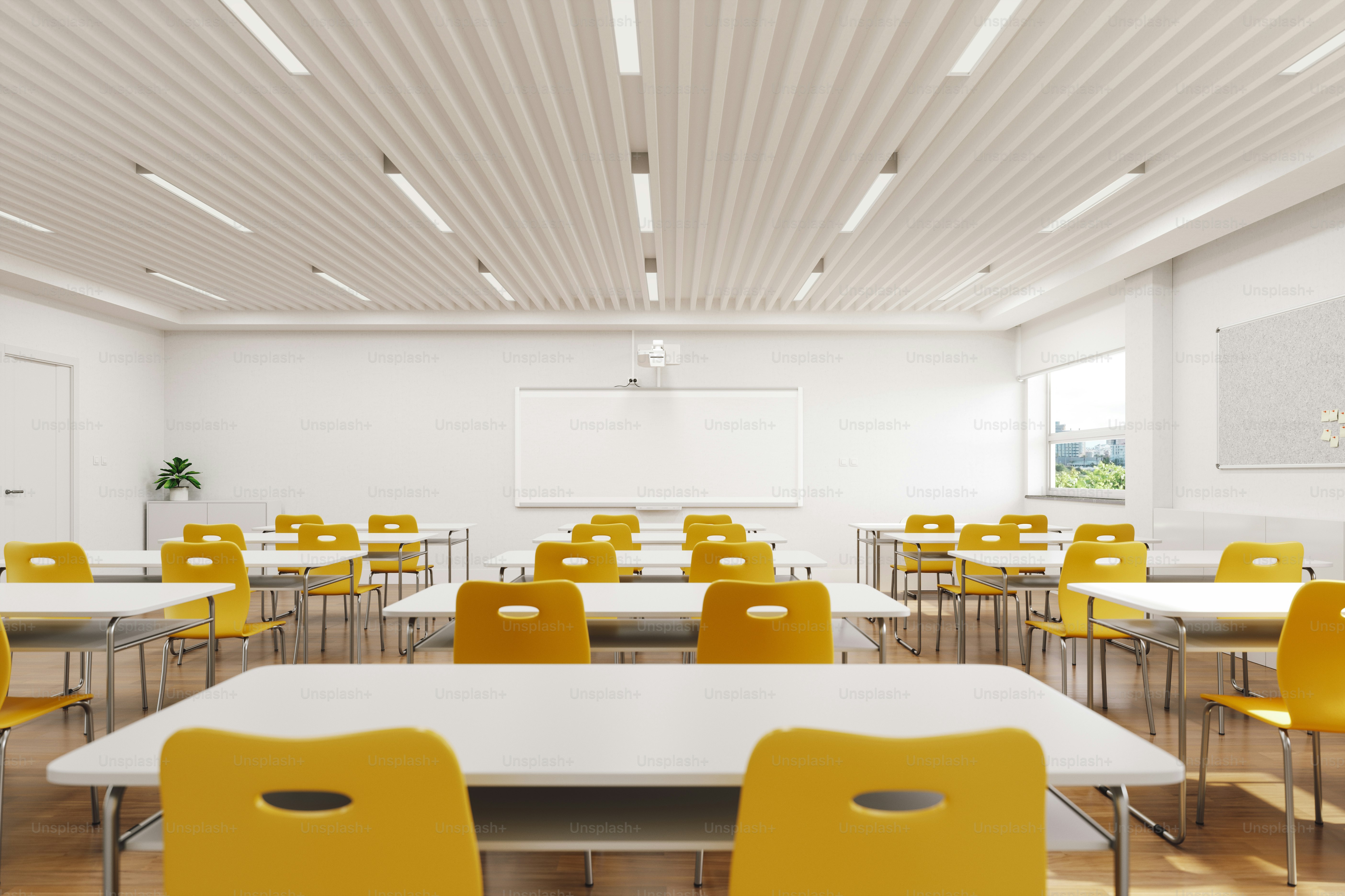 Students in a university lecture hall