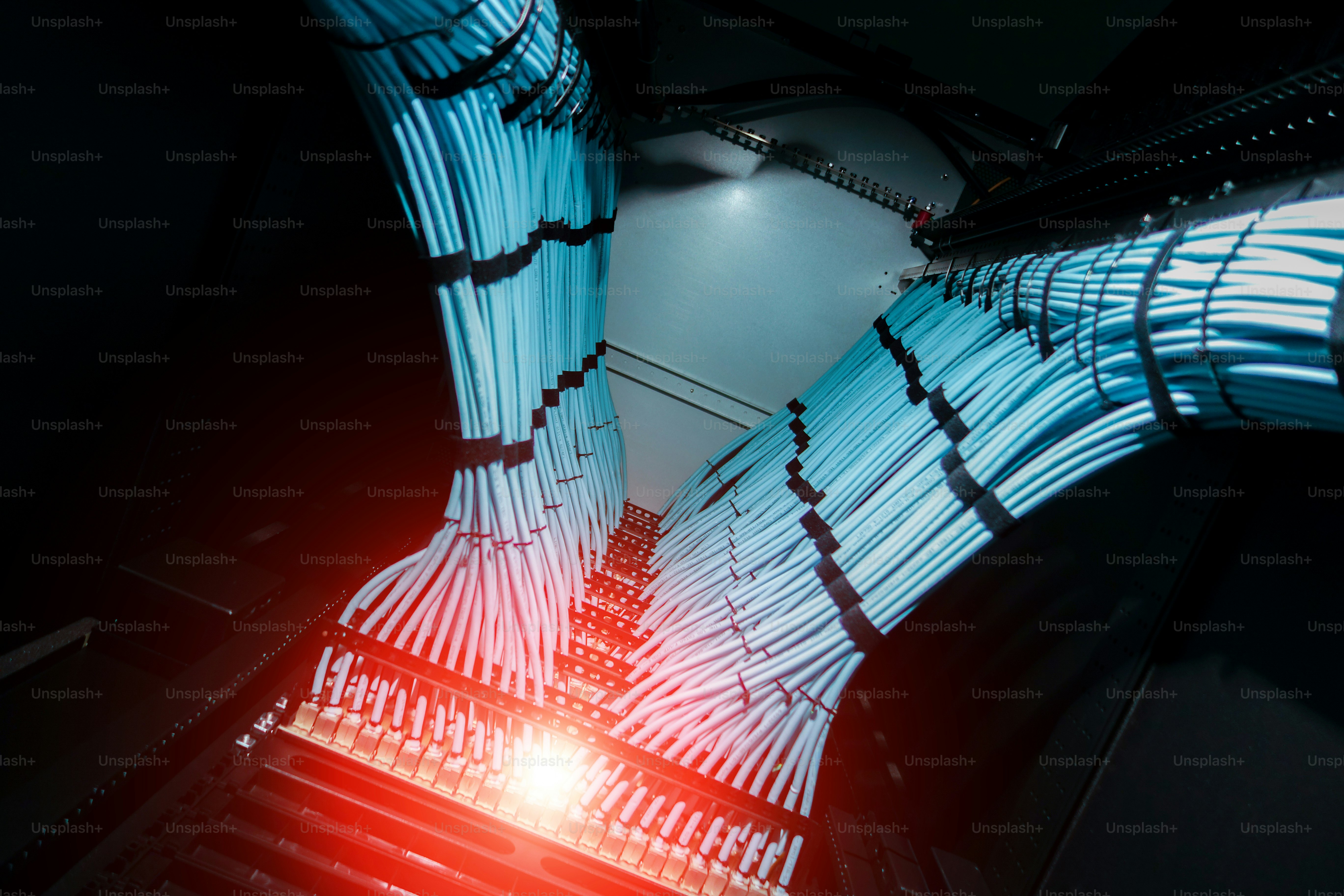 A close-up view of organized network cables in a data center. The ...