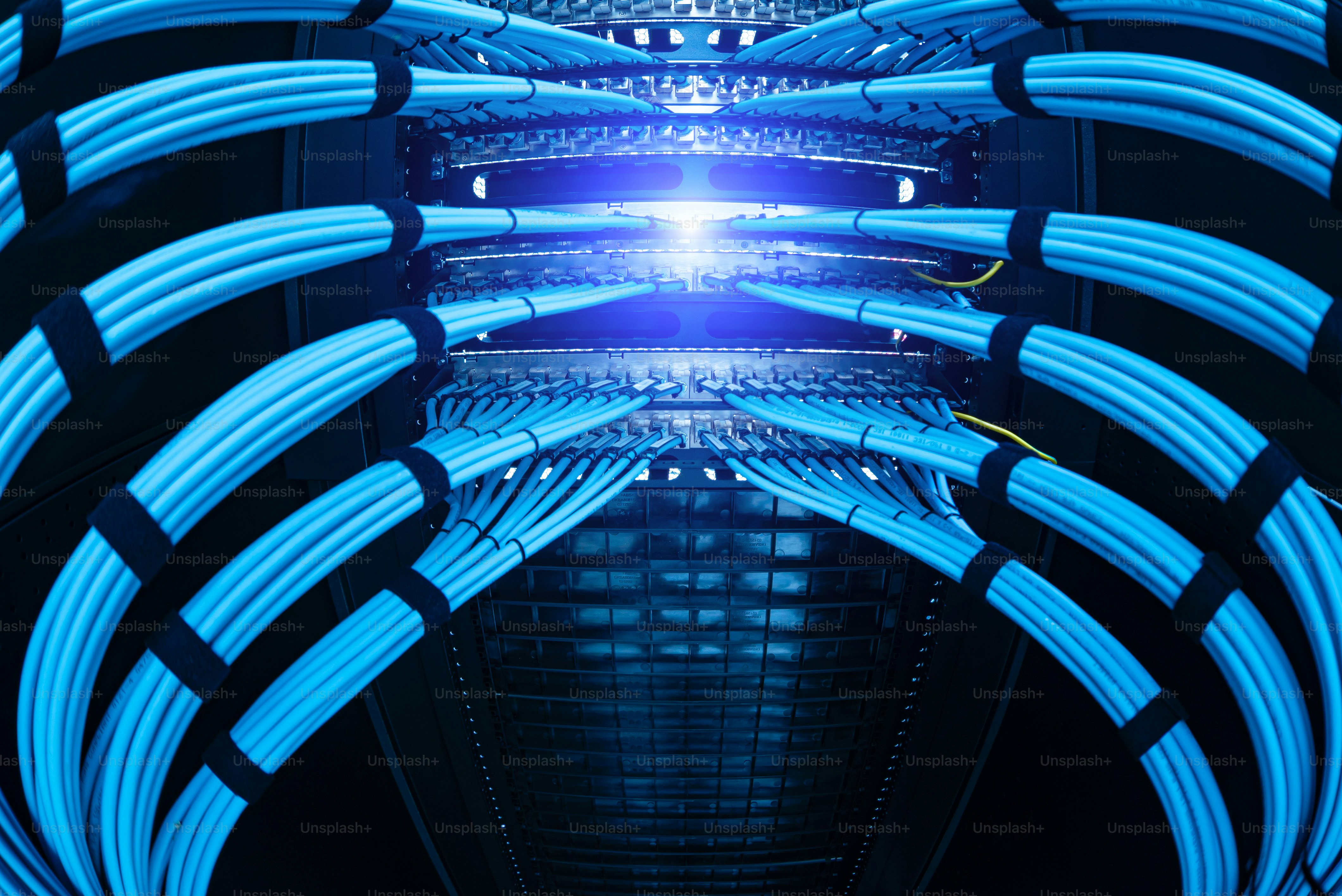 A detailed close-up view showcasing vibrant blue Ethernet cables neatly ...