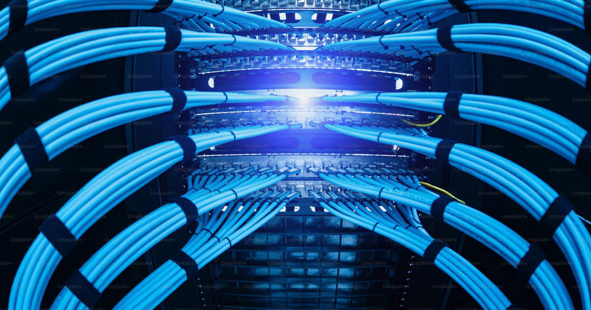 A detailed close-up view showcasing vibrant blue Ethernet cables neatly ...