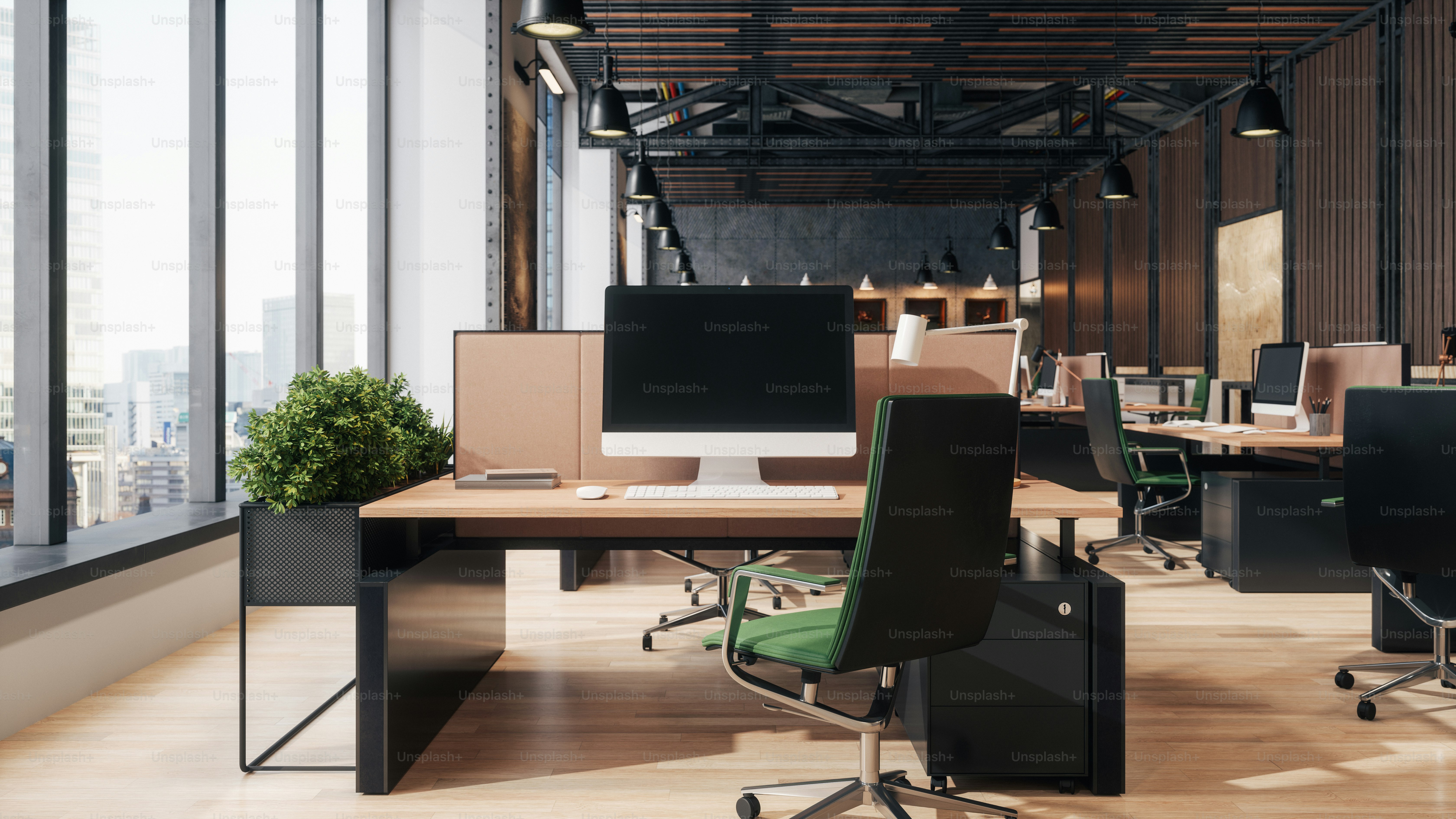 Professional office environment