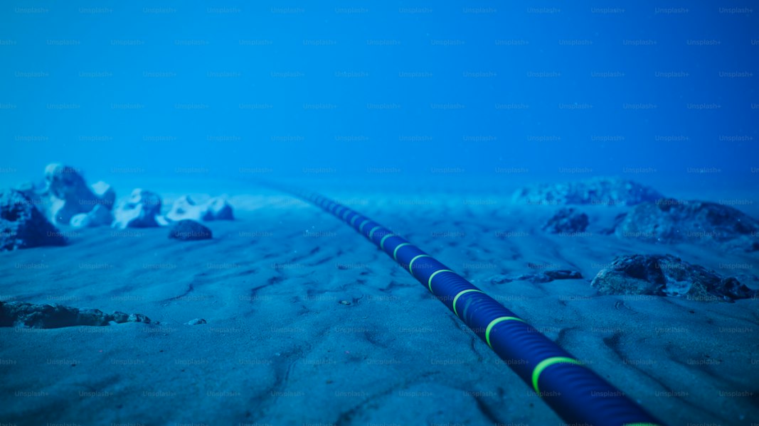 Deepest Ocean Trenches in the World: Abyssal Chasms Miles Below the Surface