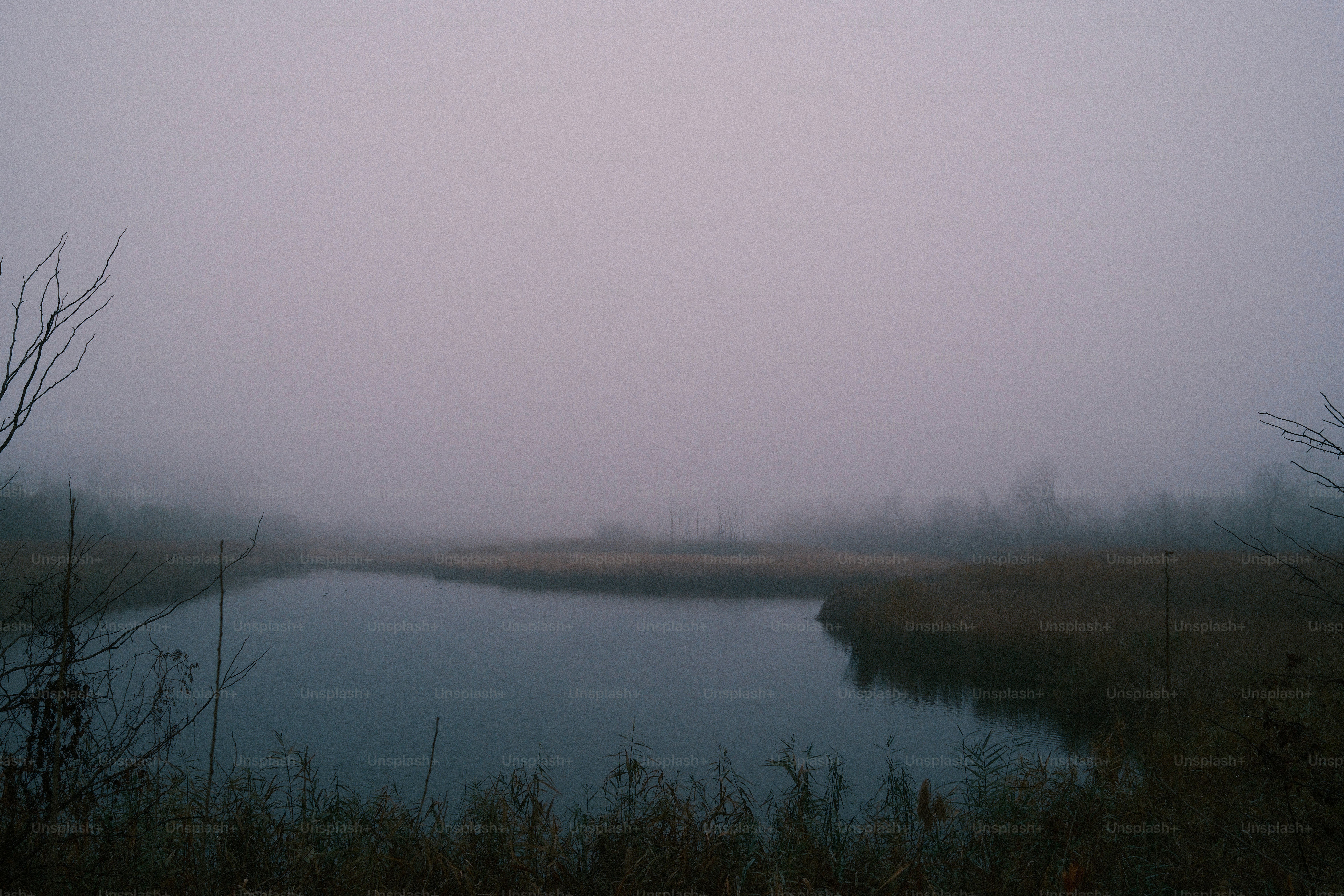Misty lake surrounded by dry grass and bare branches.