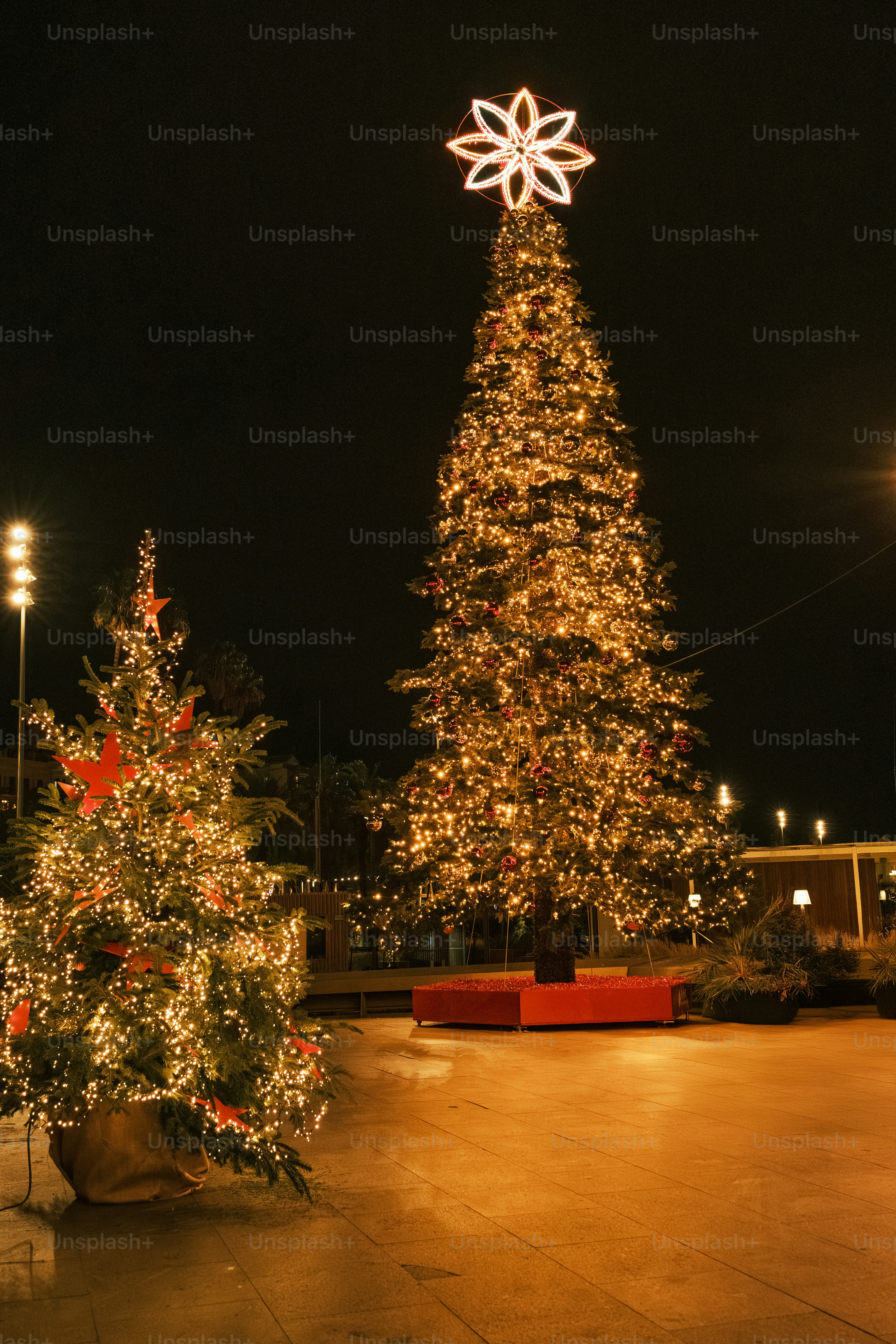 Árboles de Navidad decorados iluminados por la noche