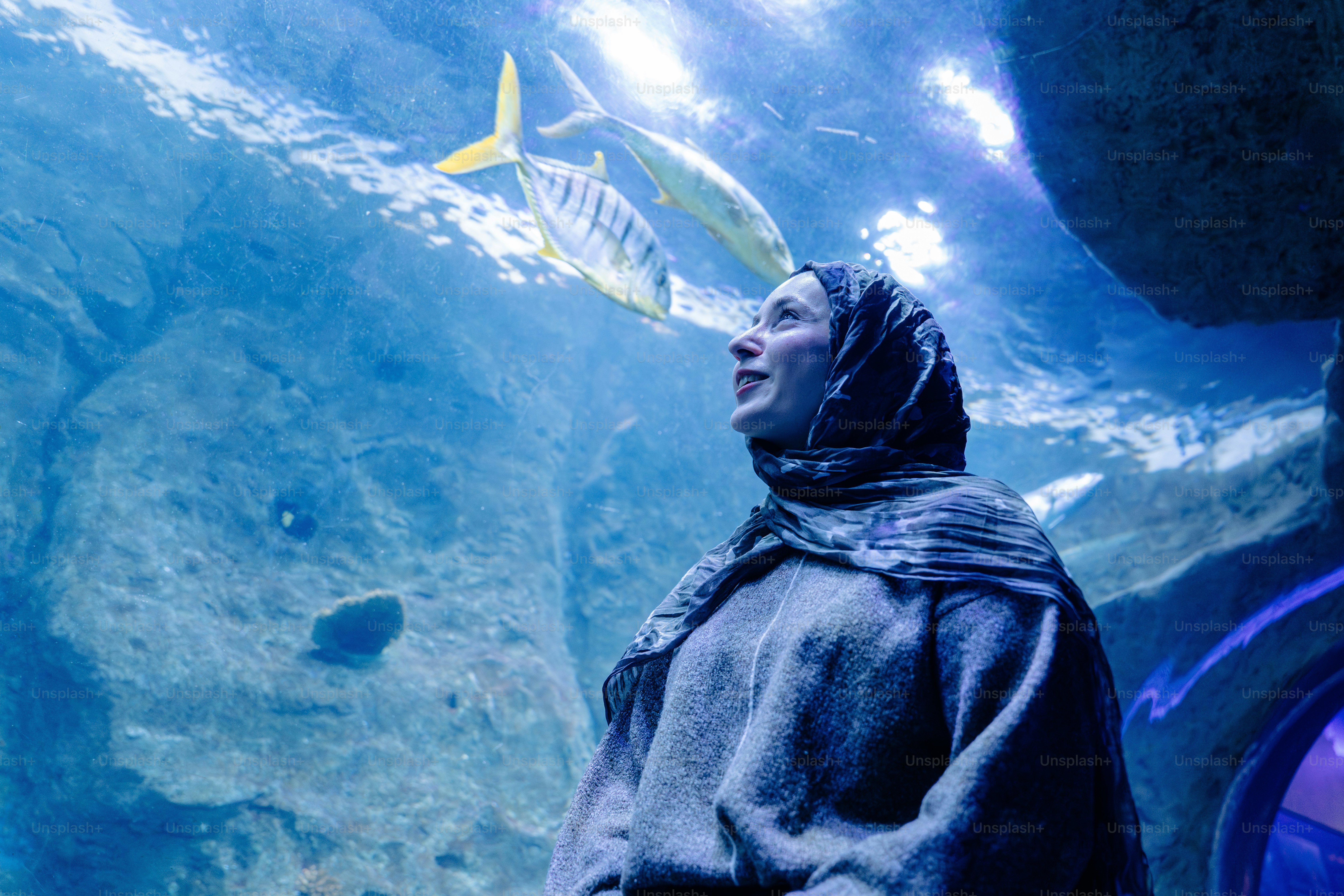 Wanita menatap ikan di akuarium