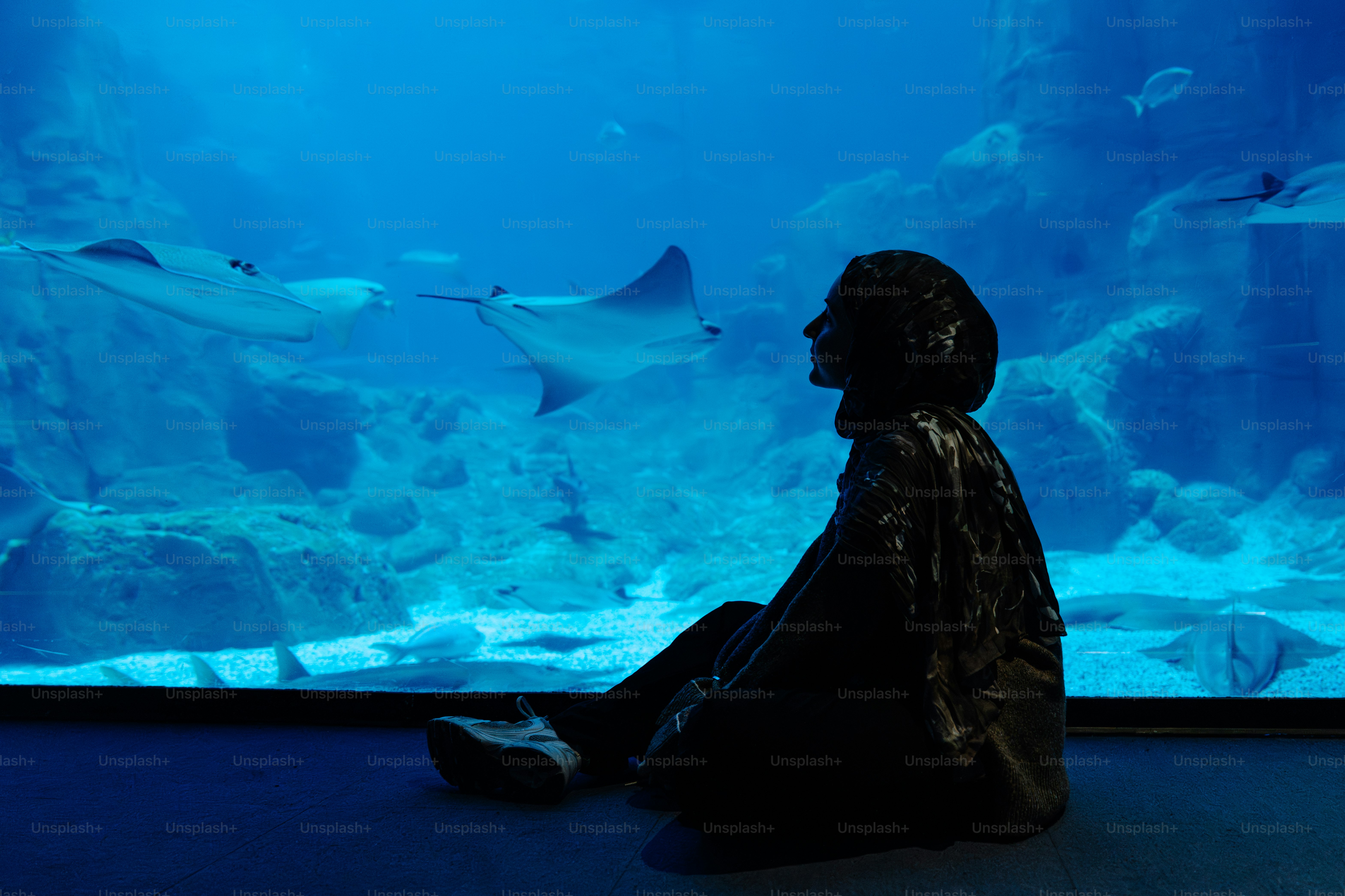 Person watches stingrays swim in a large aquarium.