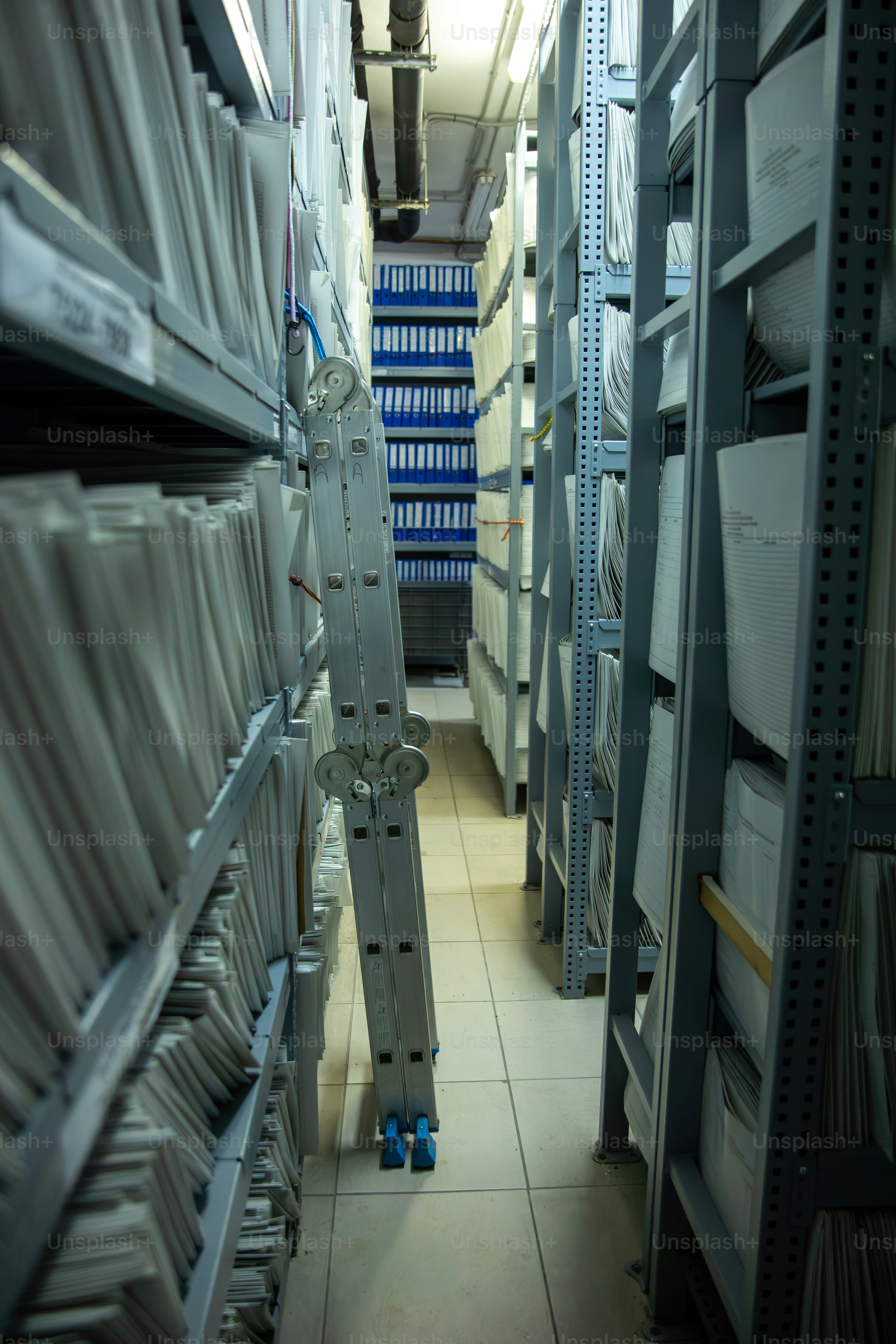 긴 기록 보관소 통로에 기대어 있는 사다리.