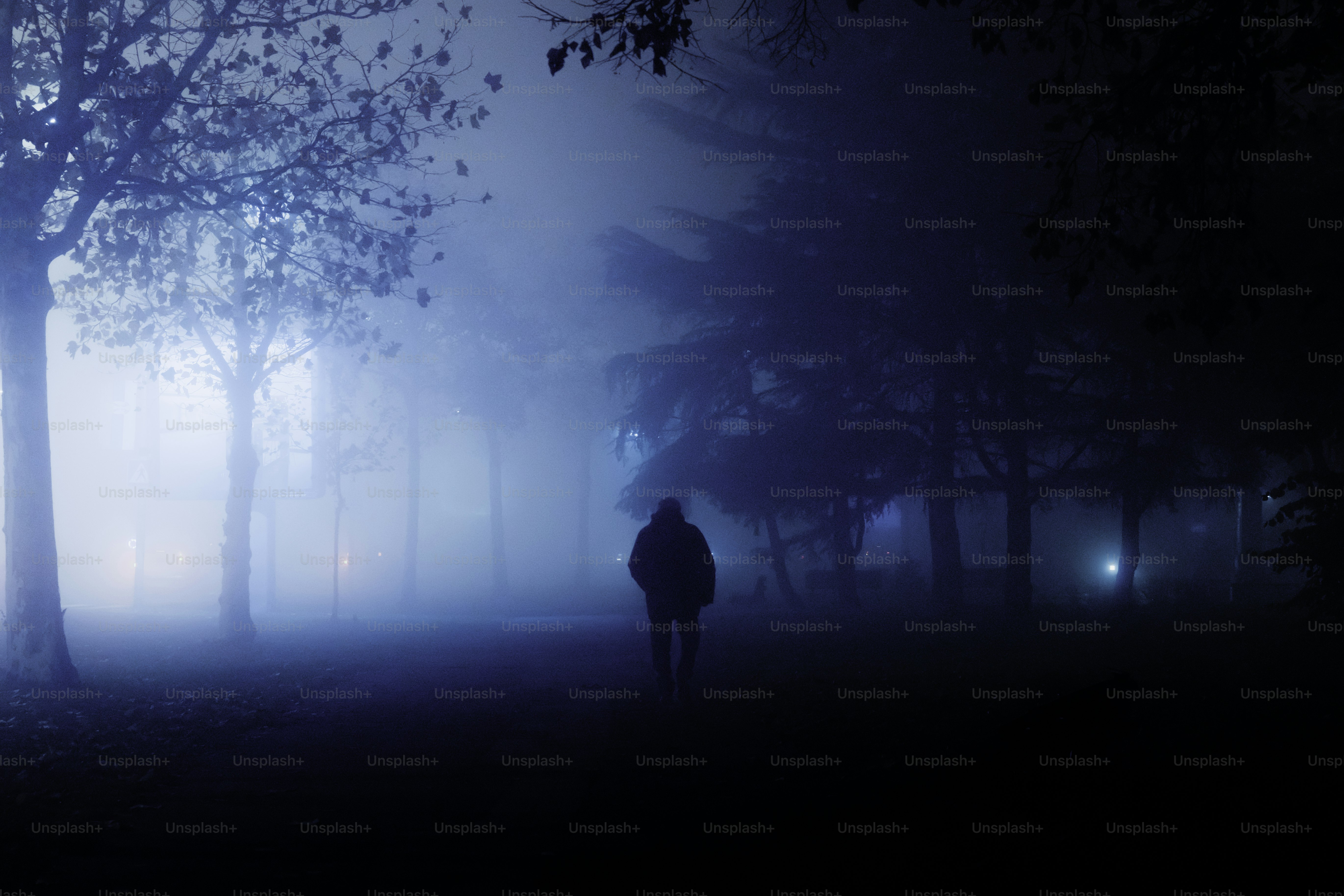 Una persona parada frente a un árbol por la noche foto – Imagen gratuita en  Unsplash, image size:3000x2000