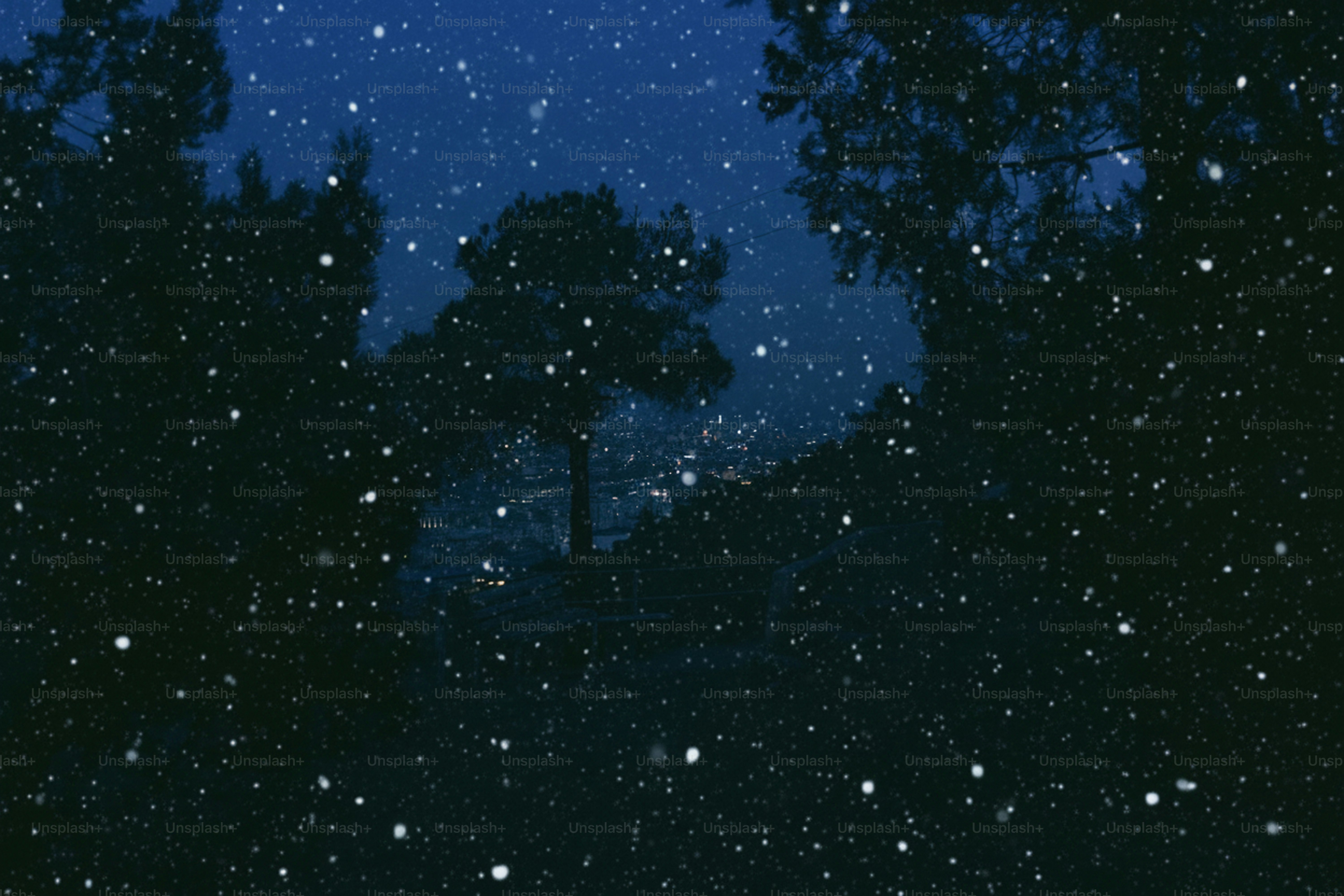Snow falling at night in a dark forest.