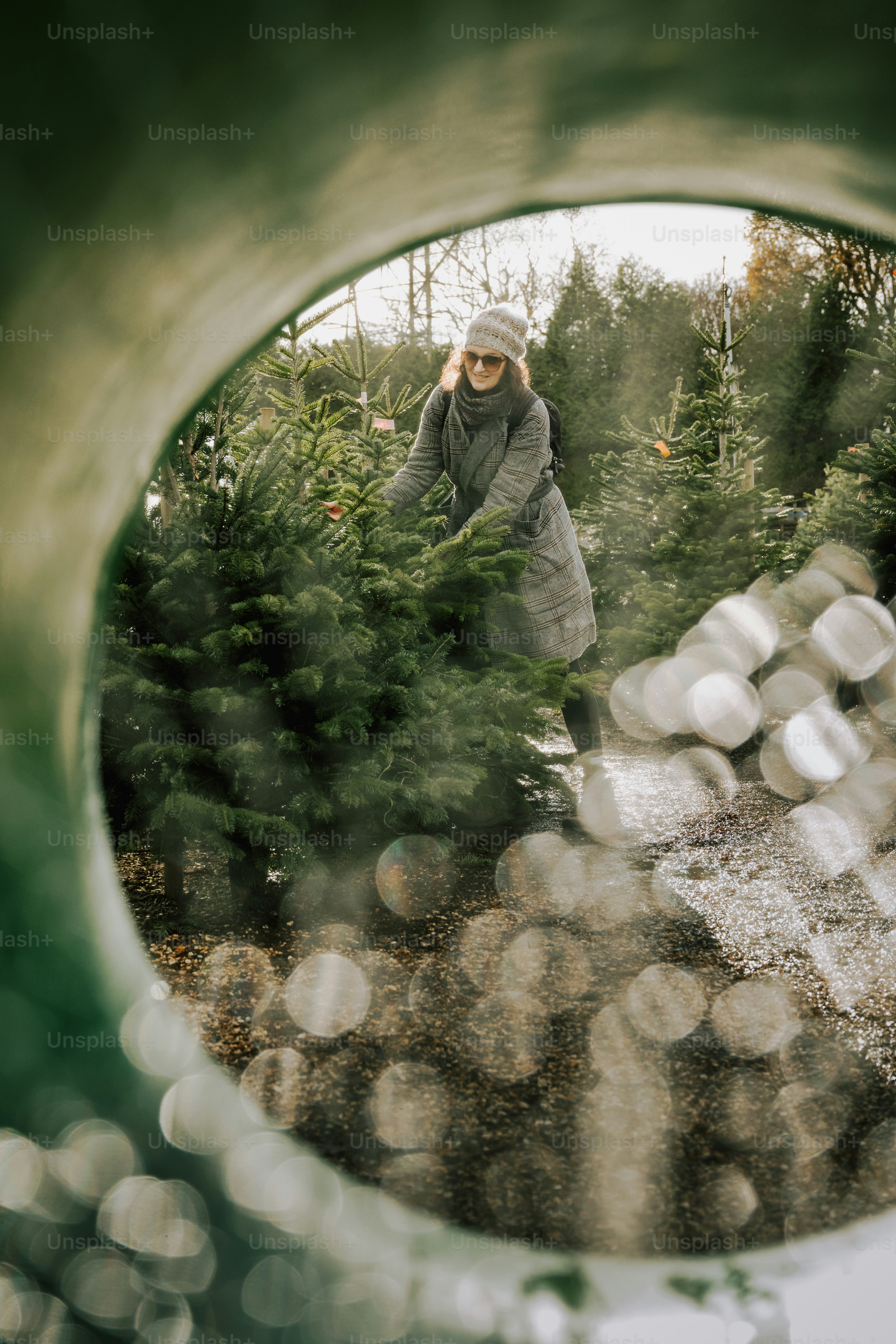Woman selecting christmas tree at outdoor lot