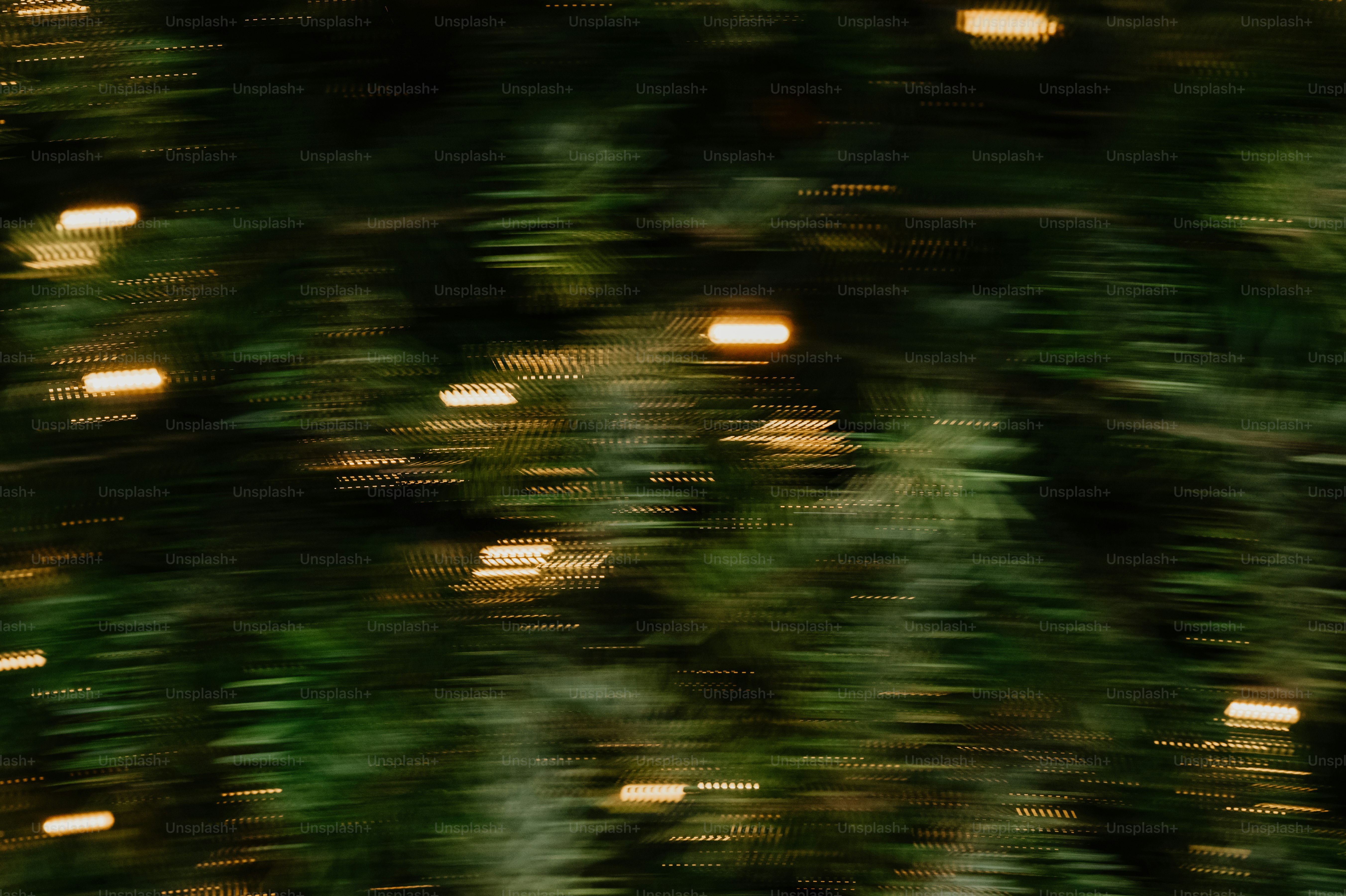 Blurred christmas tree lights on dark branches