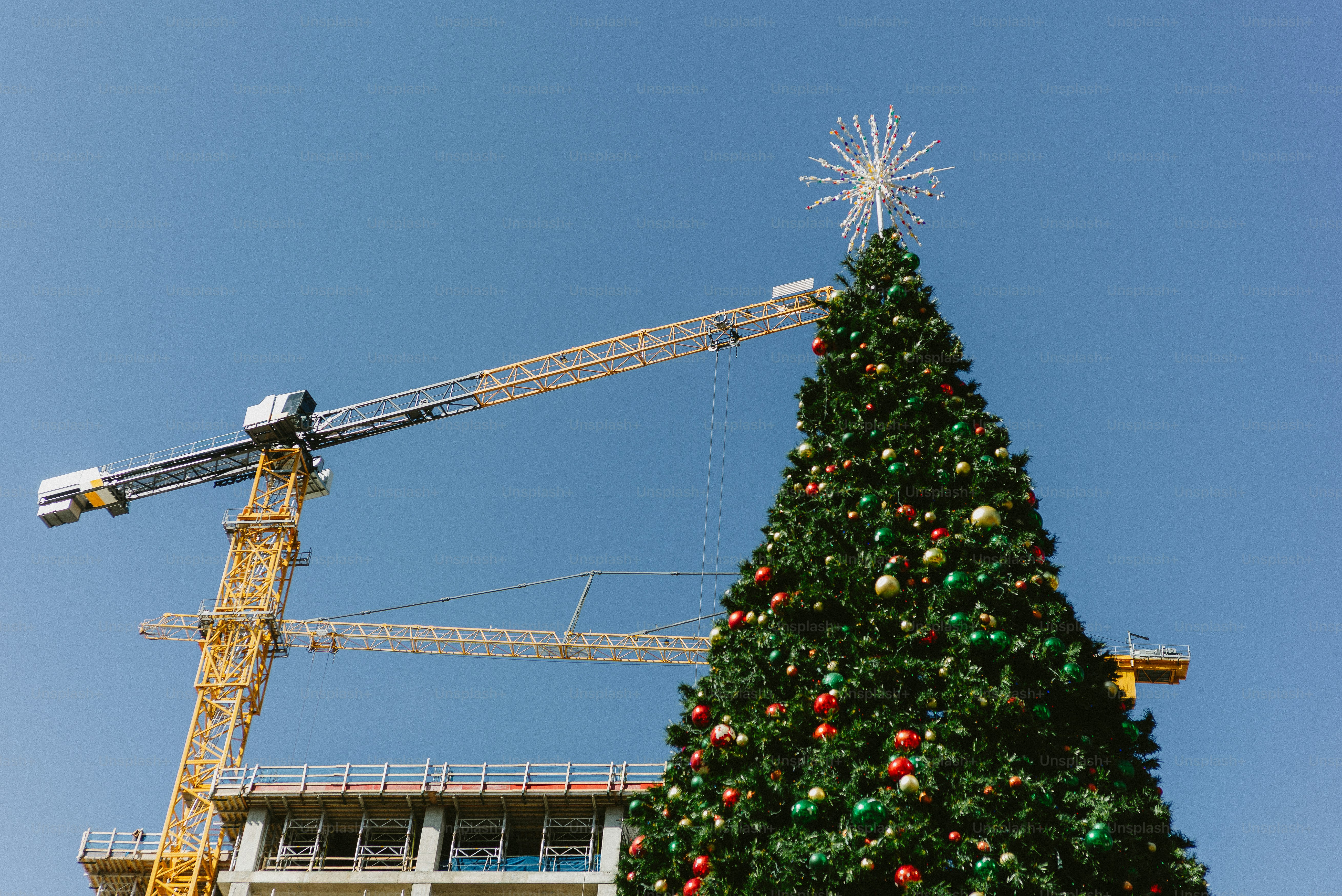 Christmas tree and construction cranes against blue sky
