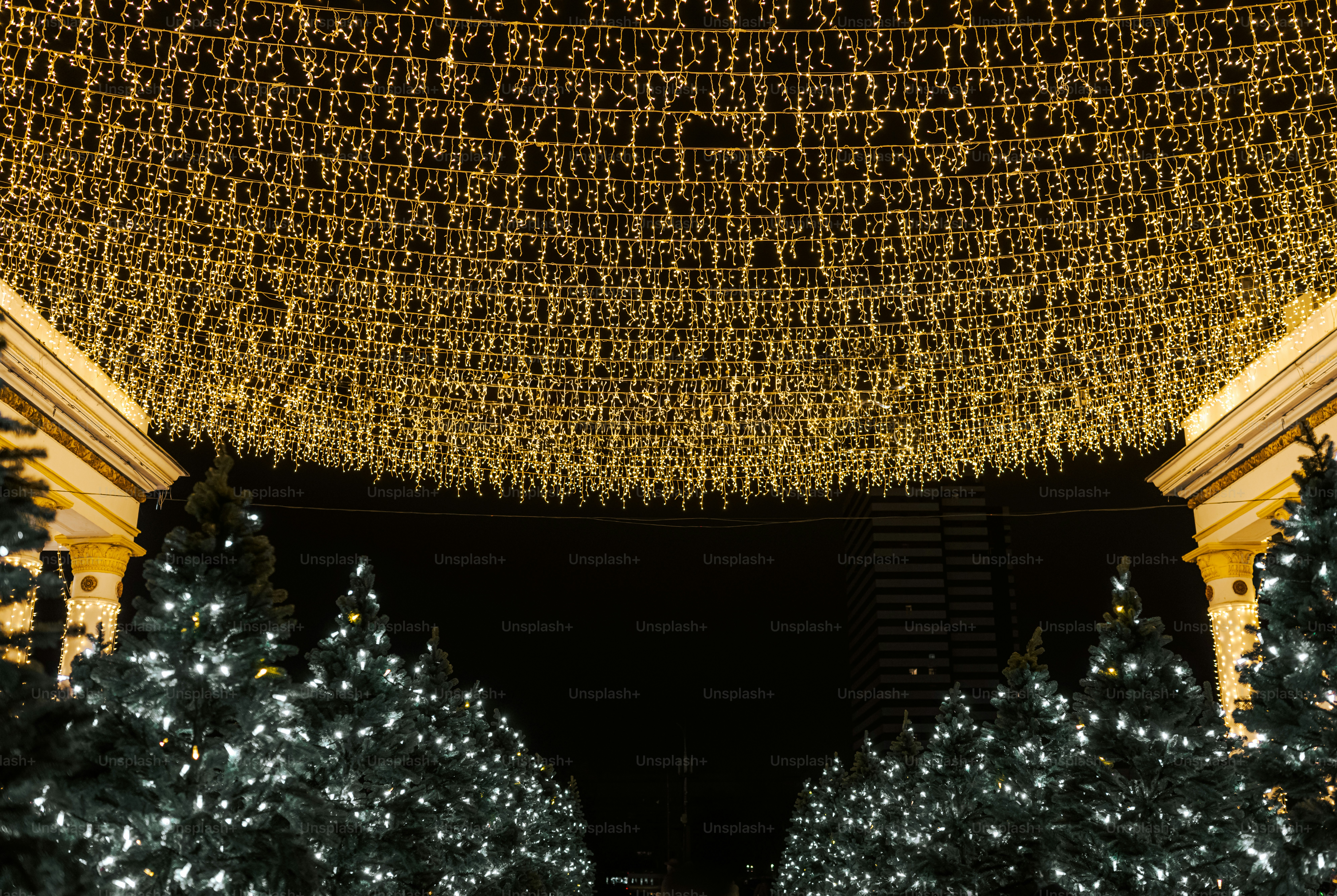 Christmas trees and festive lights at night