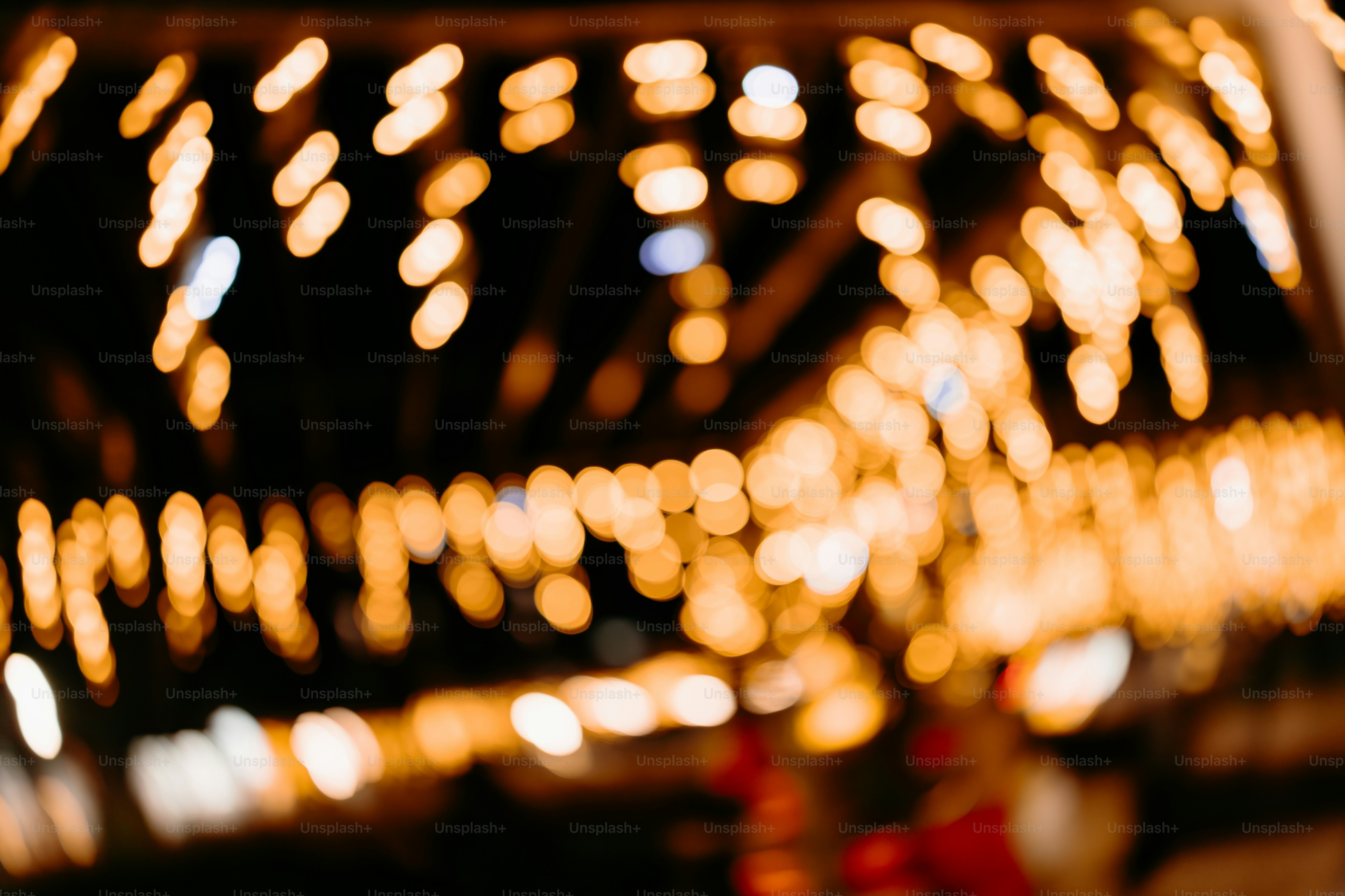 Blurred festive lights create a warm, glowing atmosphere.