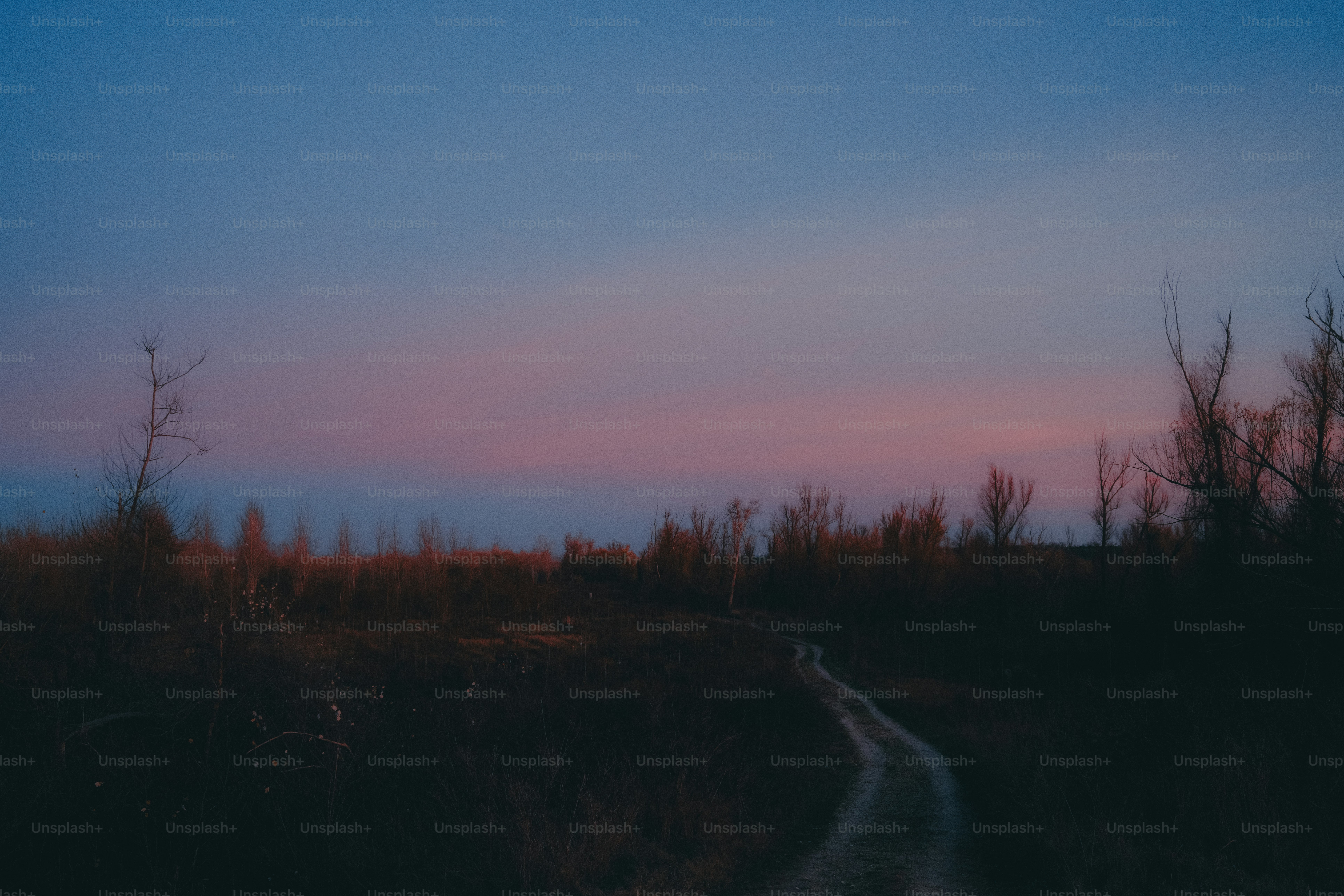 A dirt road winds through a dark landscape at dusk.