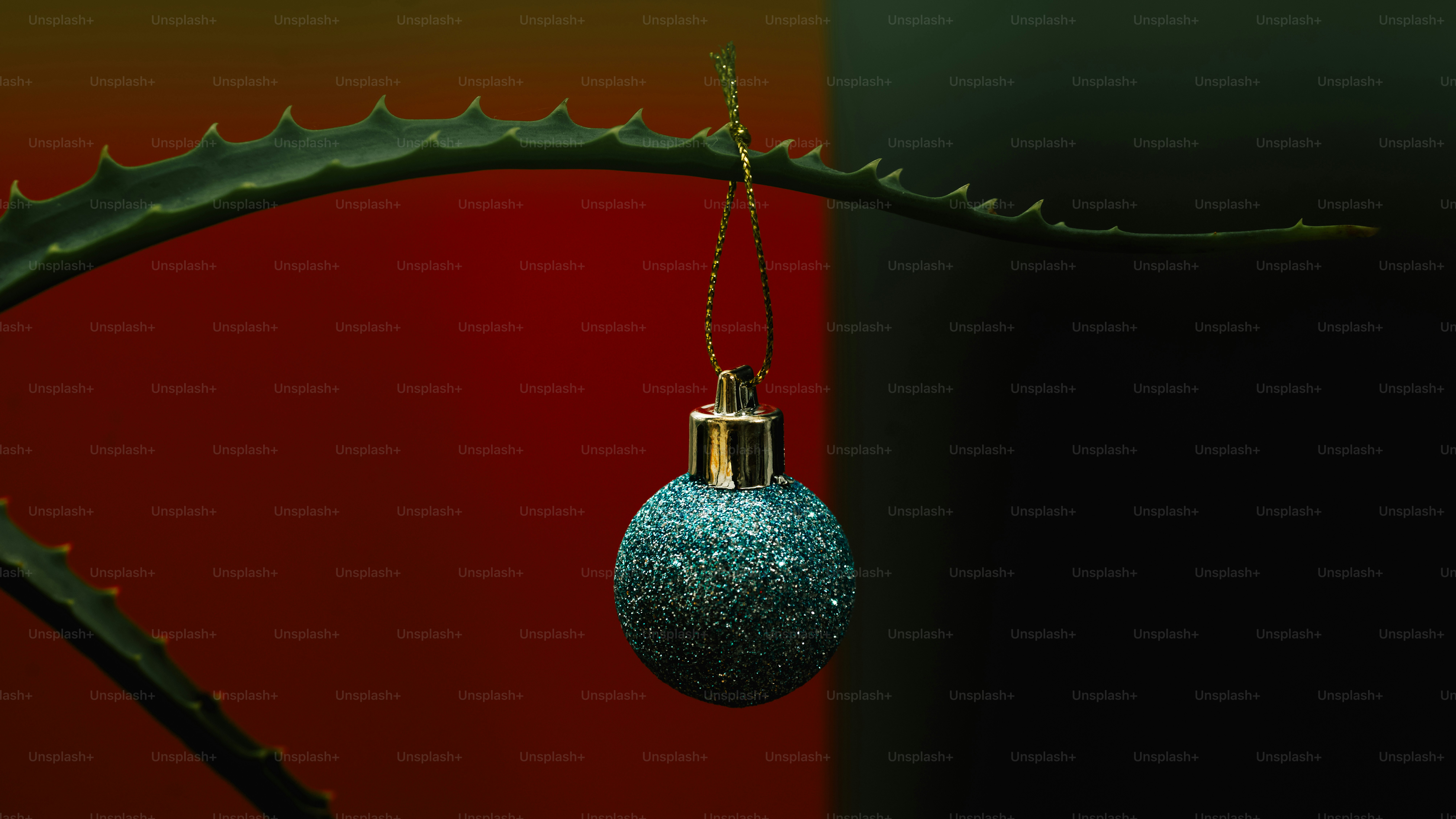 A single blue ornament hangs from a succulent.