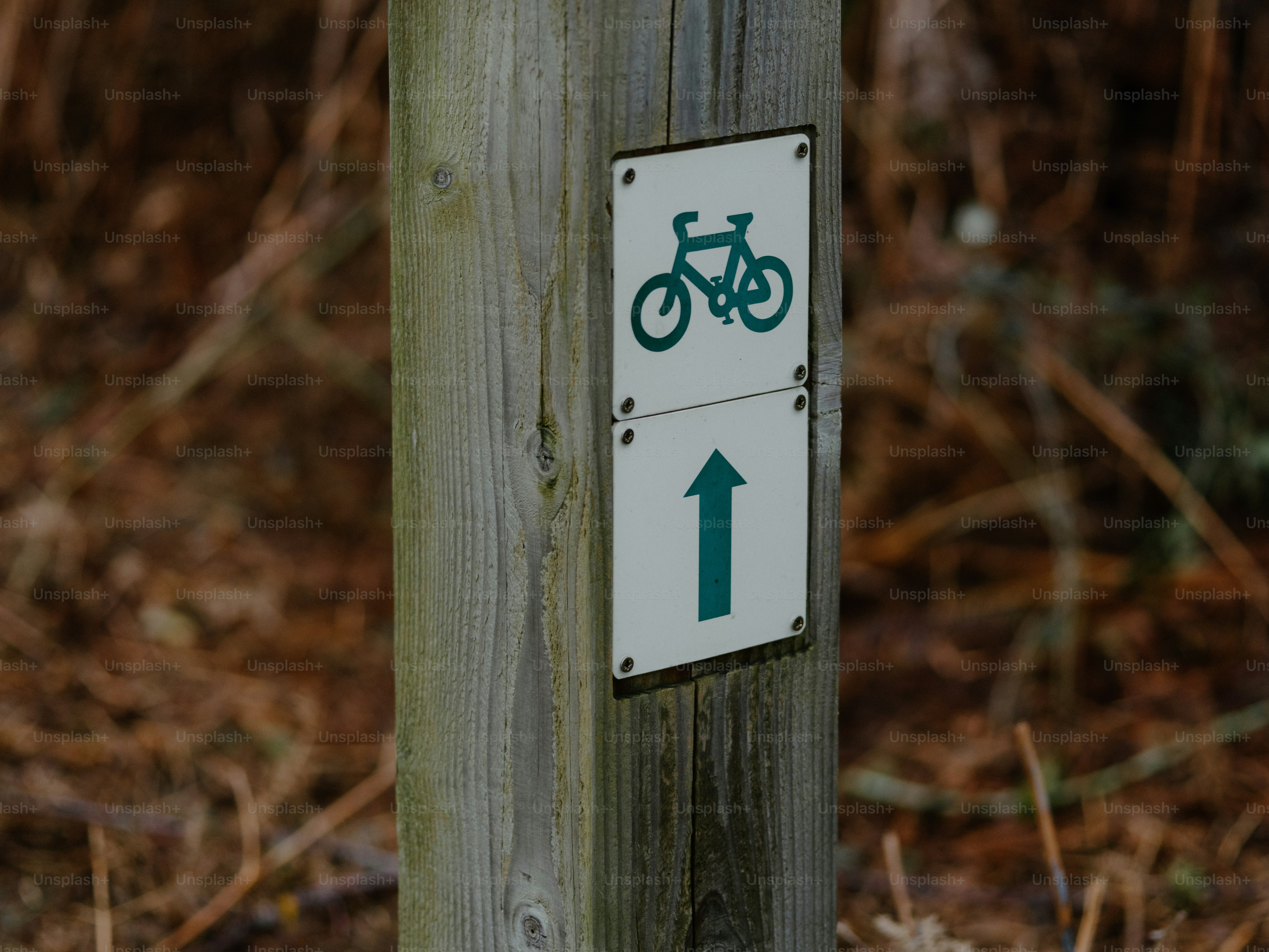 Wooden post with bicycle and arrow signs