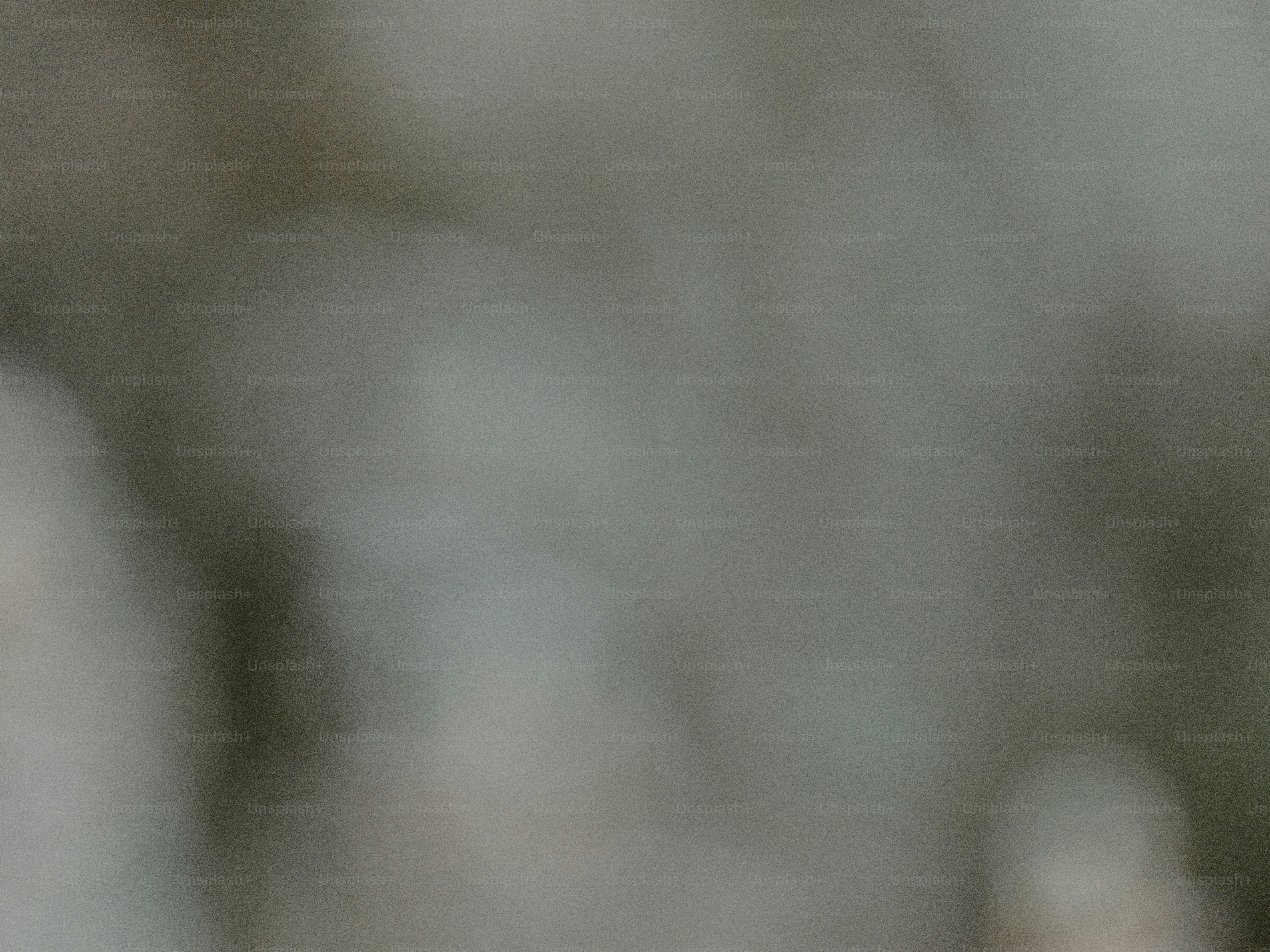 Abstract blurred background with soft neutral colors