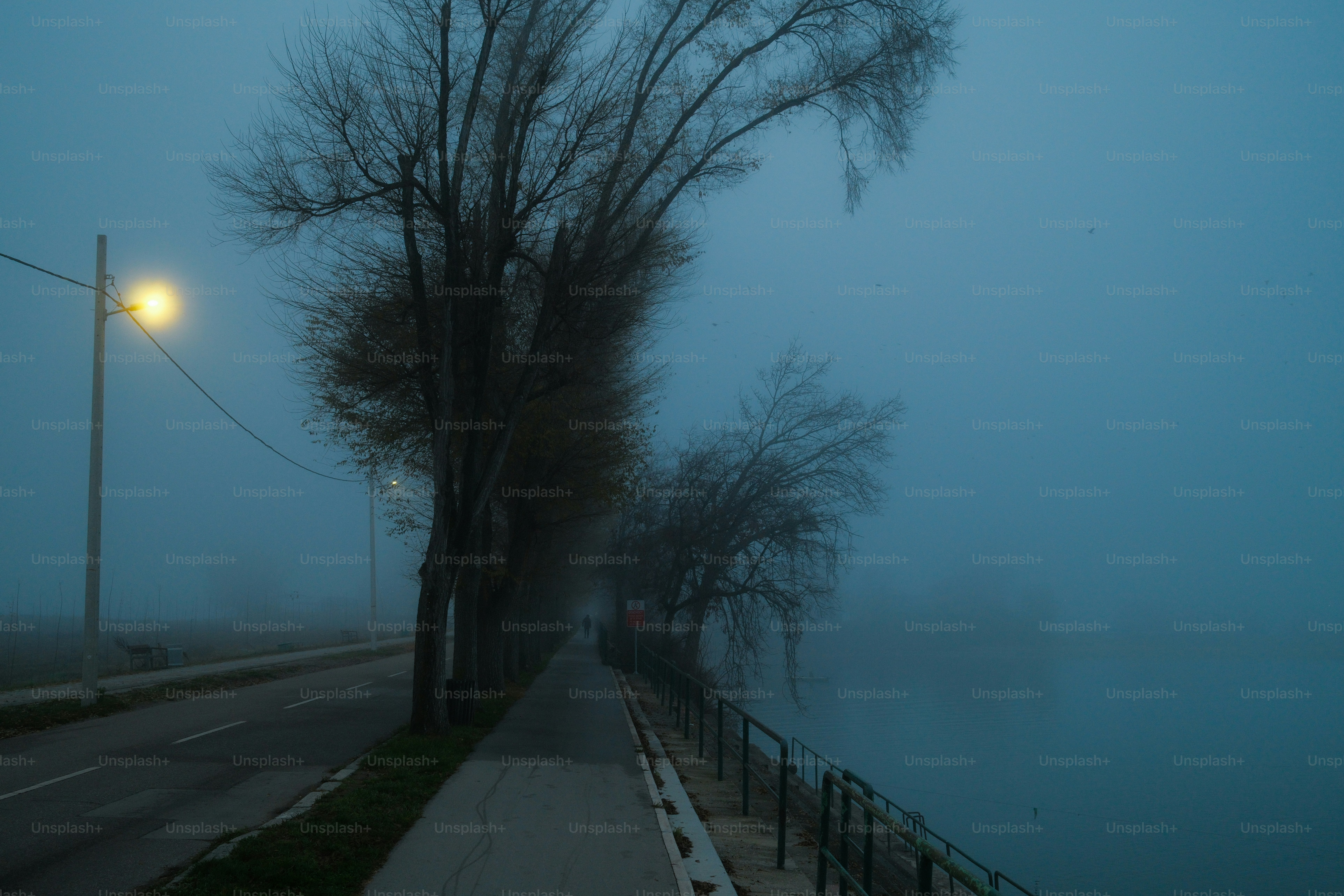 A foggy path along a river with a street lamp.