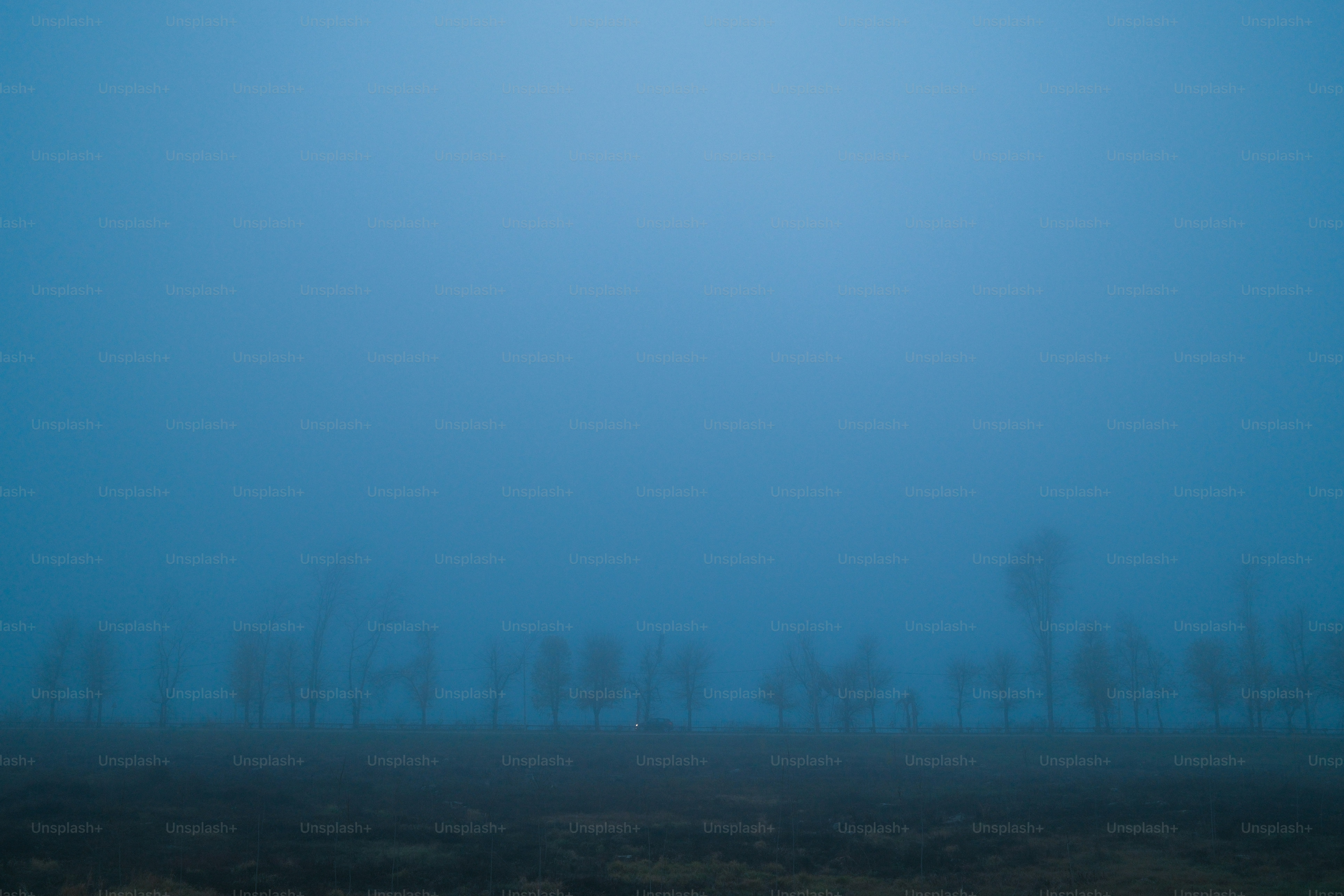 Misty landscape with silhouetted trees on the horizon.