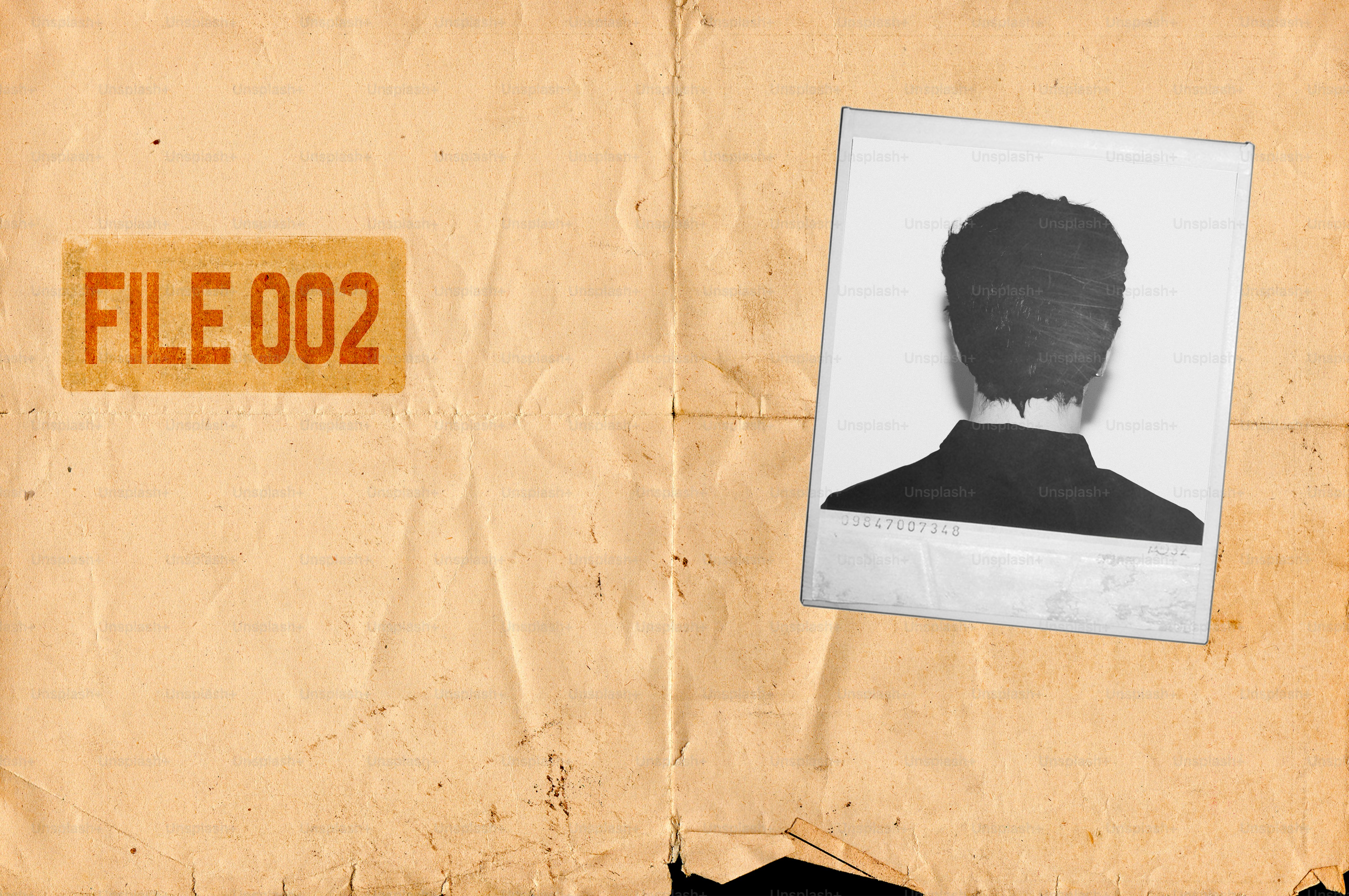 File 002 with a person's back view