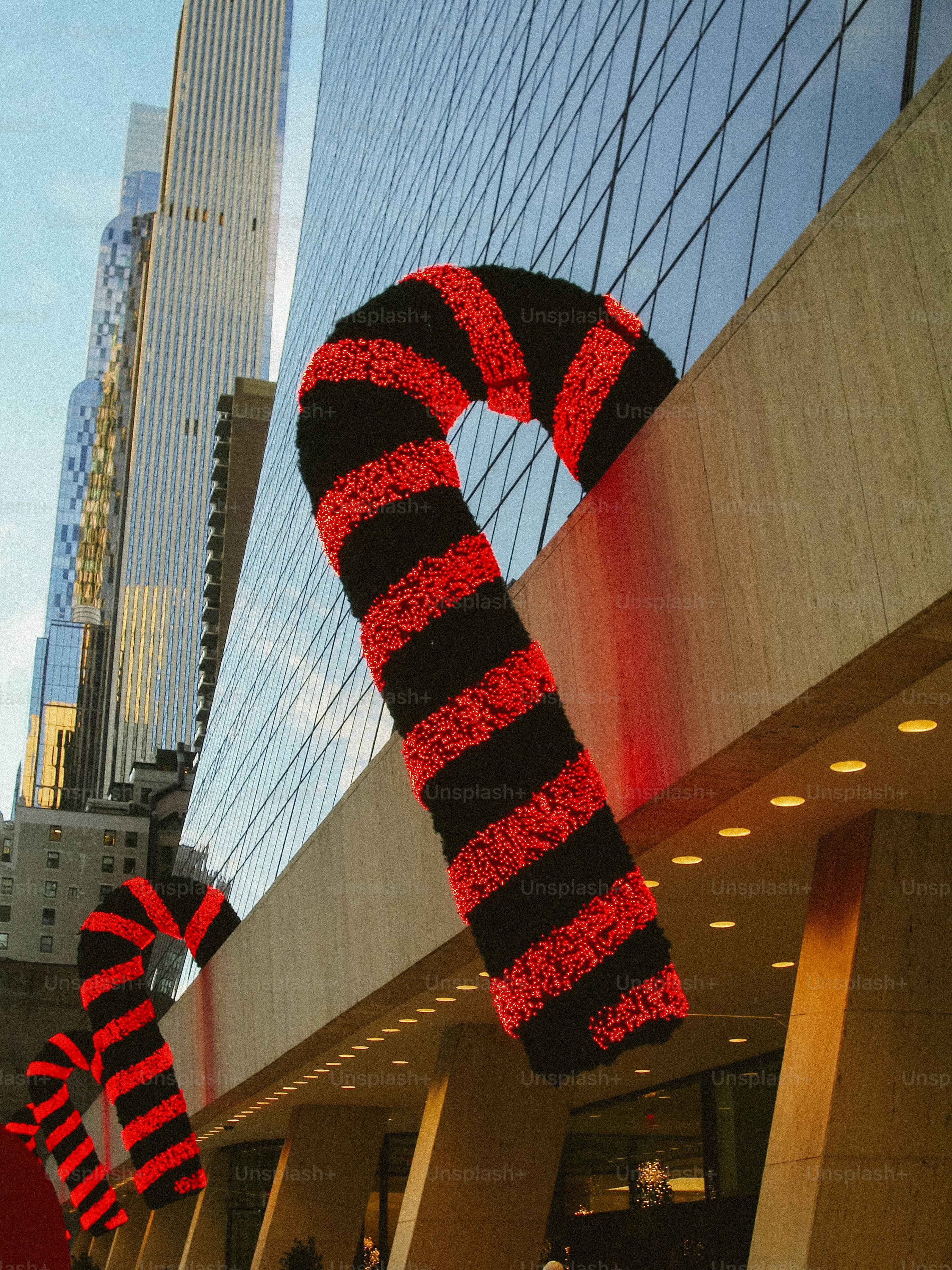 D’immenses cannes d’orge décorent la façade de l’immeuble avec la silhouette de la ville.