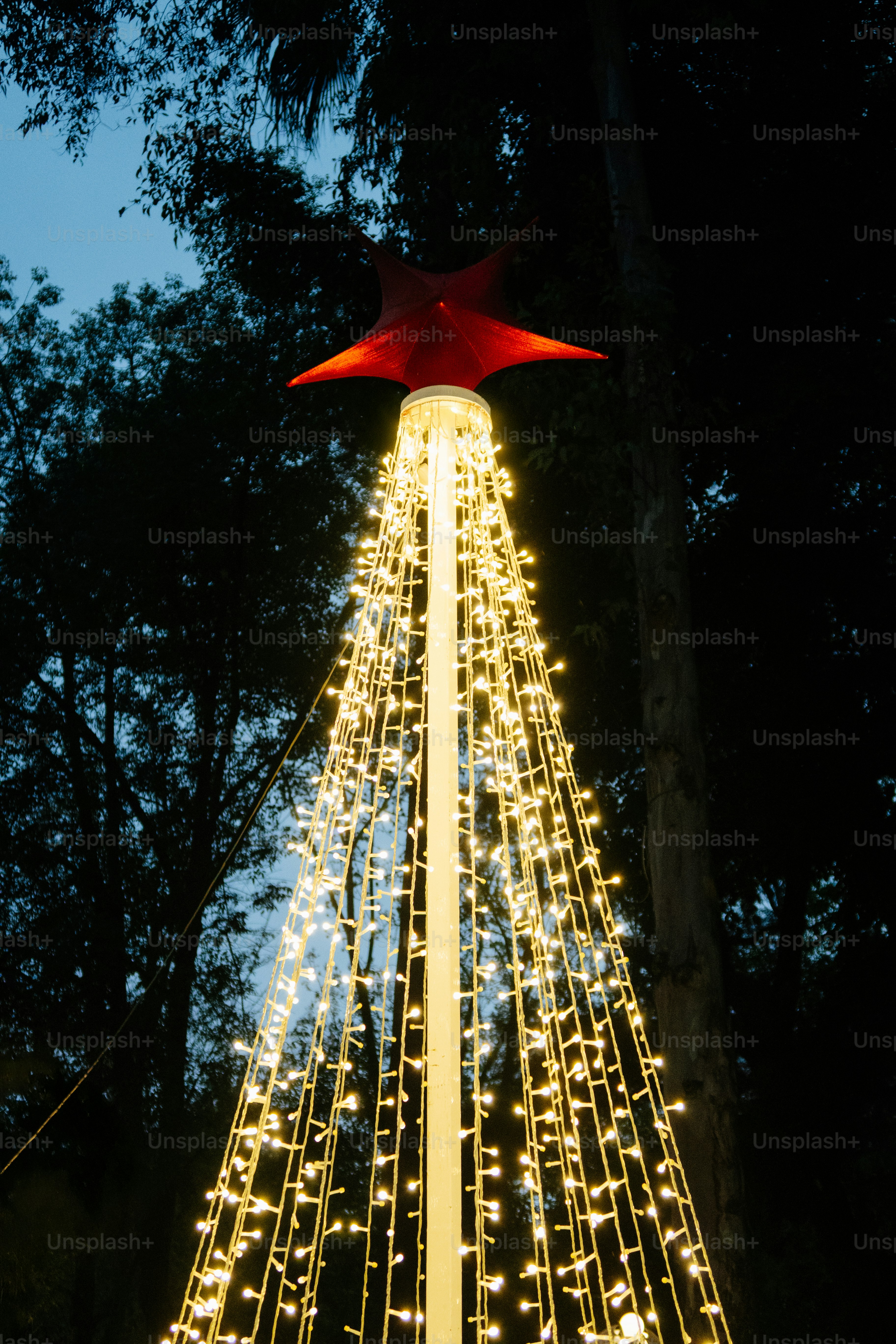 Tall christmas tree with red star and lights