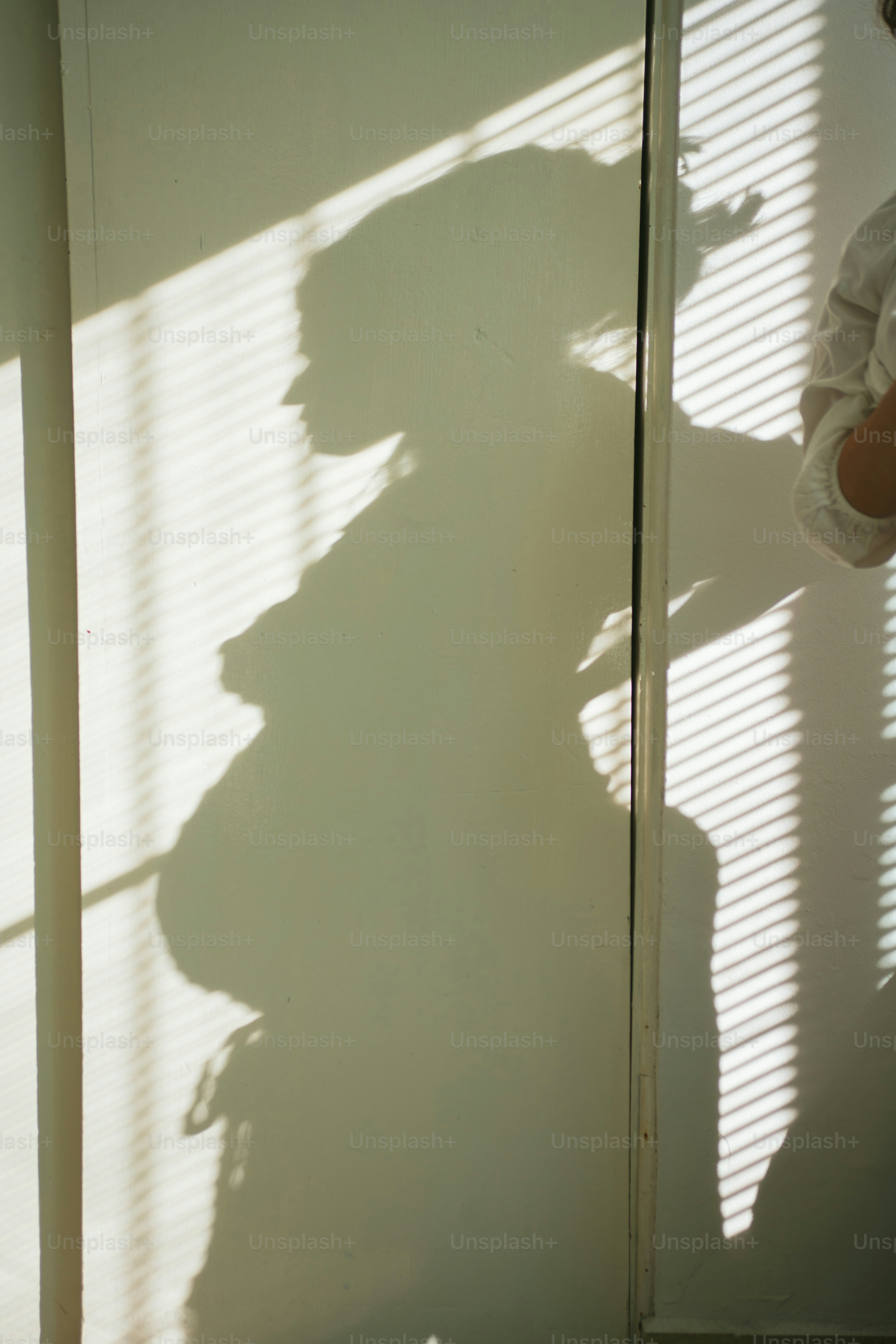 Shadow of a pregnant woman against a wall.