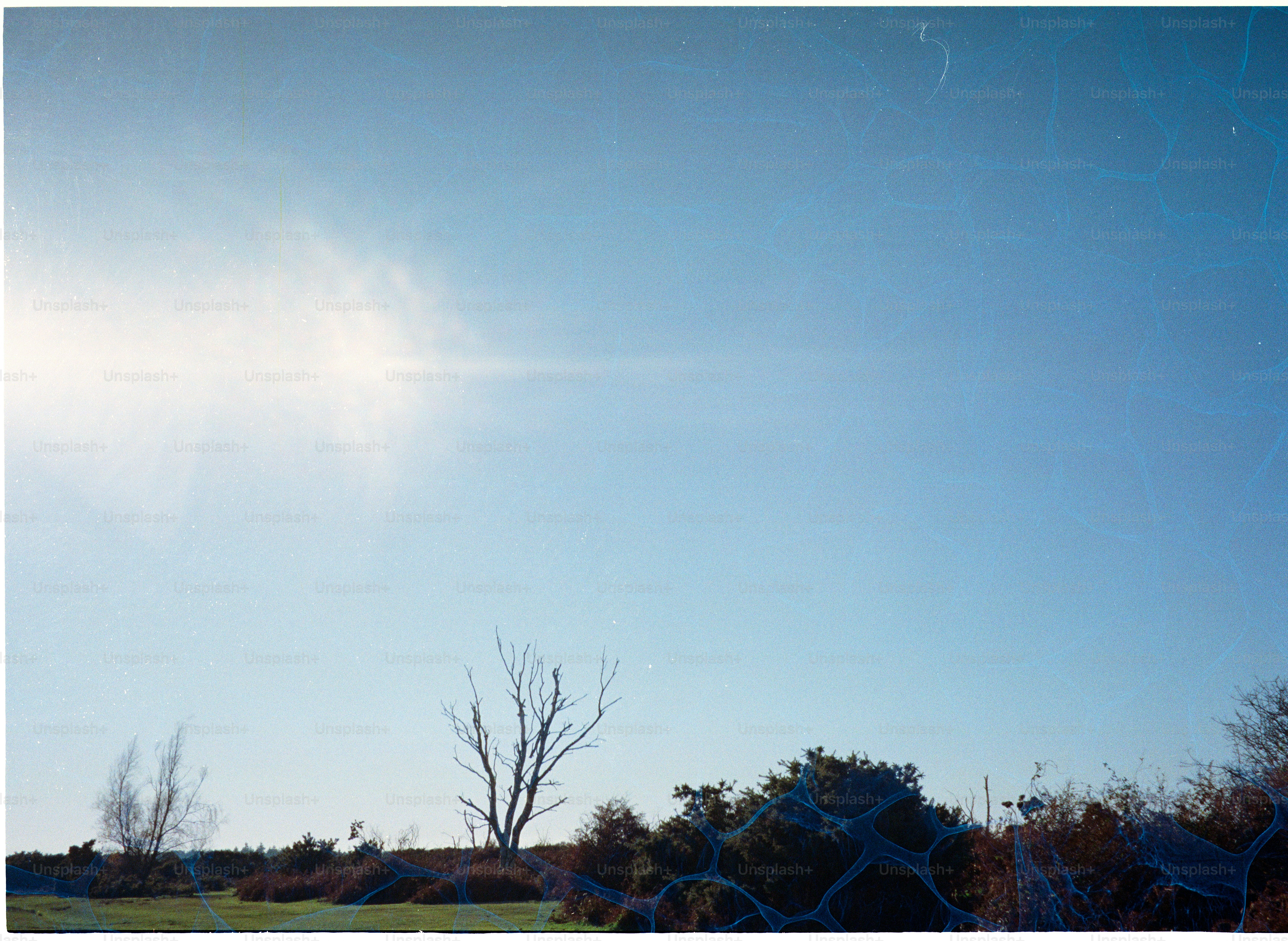 Bright sun shining in a clear blue sky.