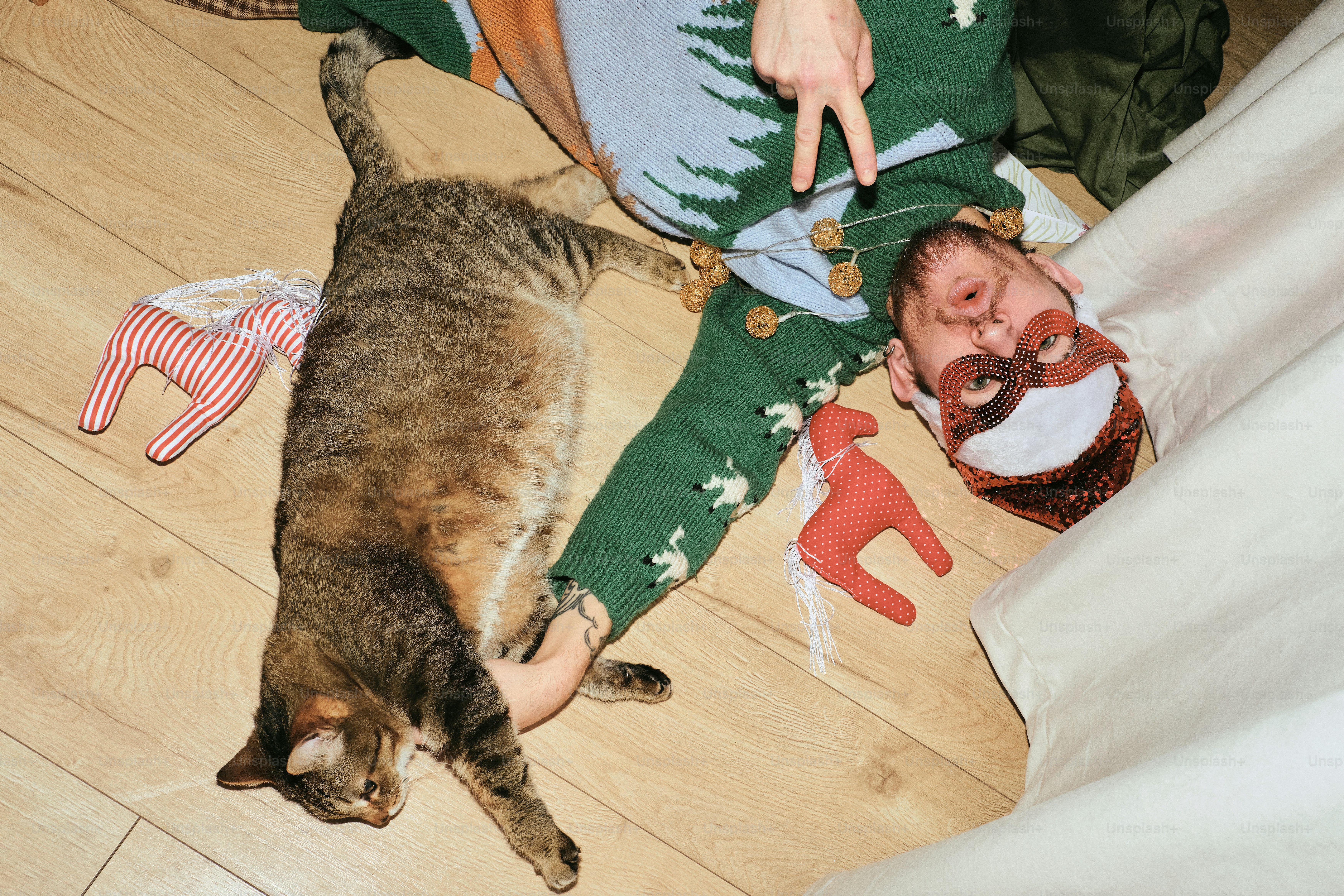 Man in festive sweater with cat and decorations