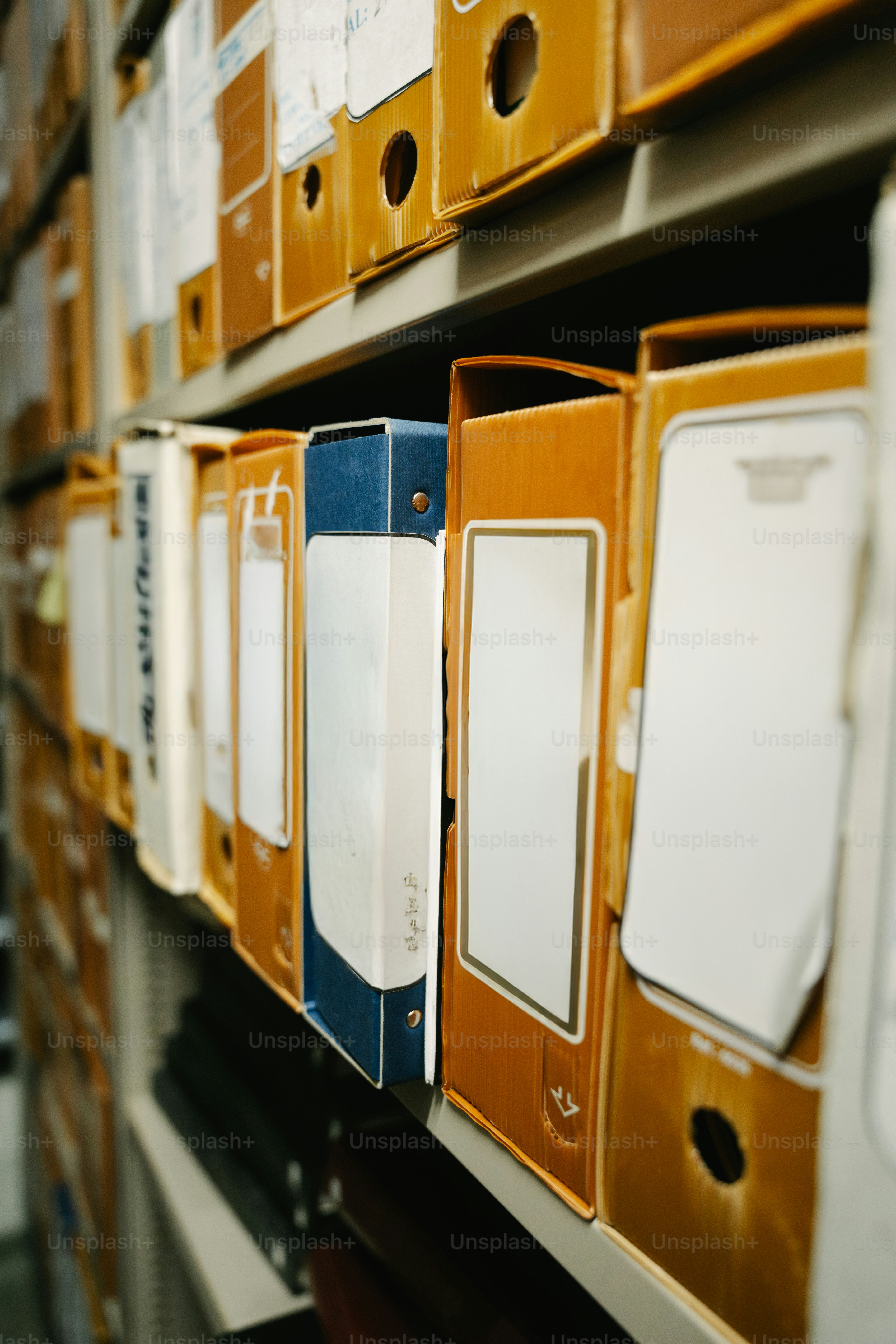 Rows of file folders and binders on shelves