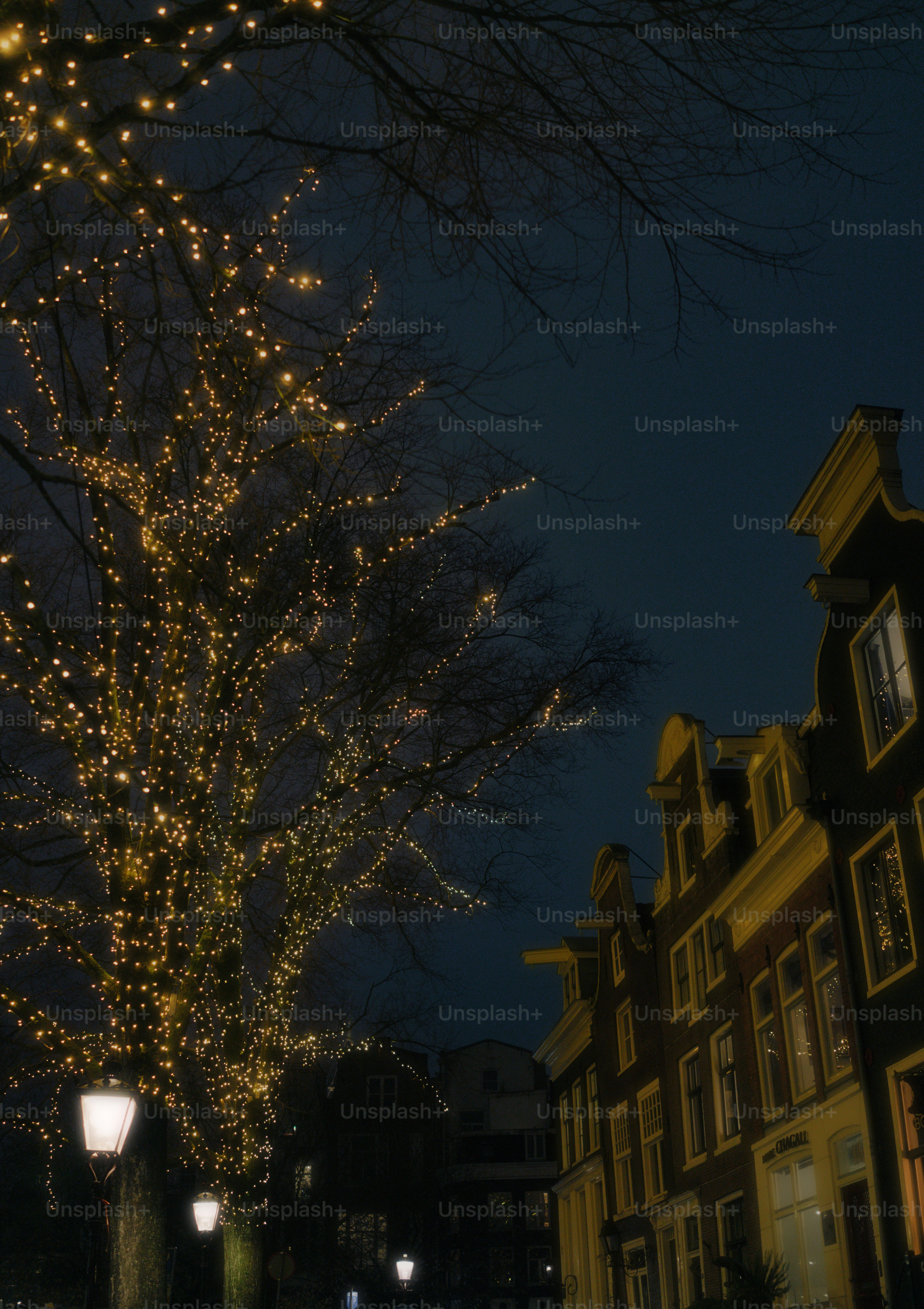 Christmas tree glowing in a window at night photo – Christmas Image on ...