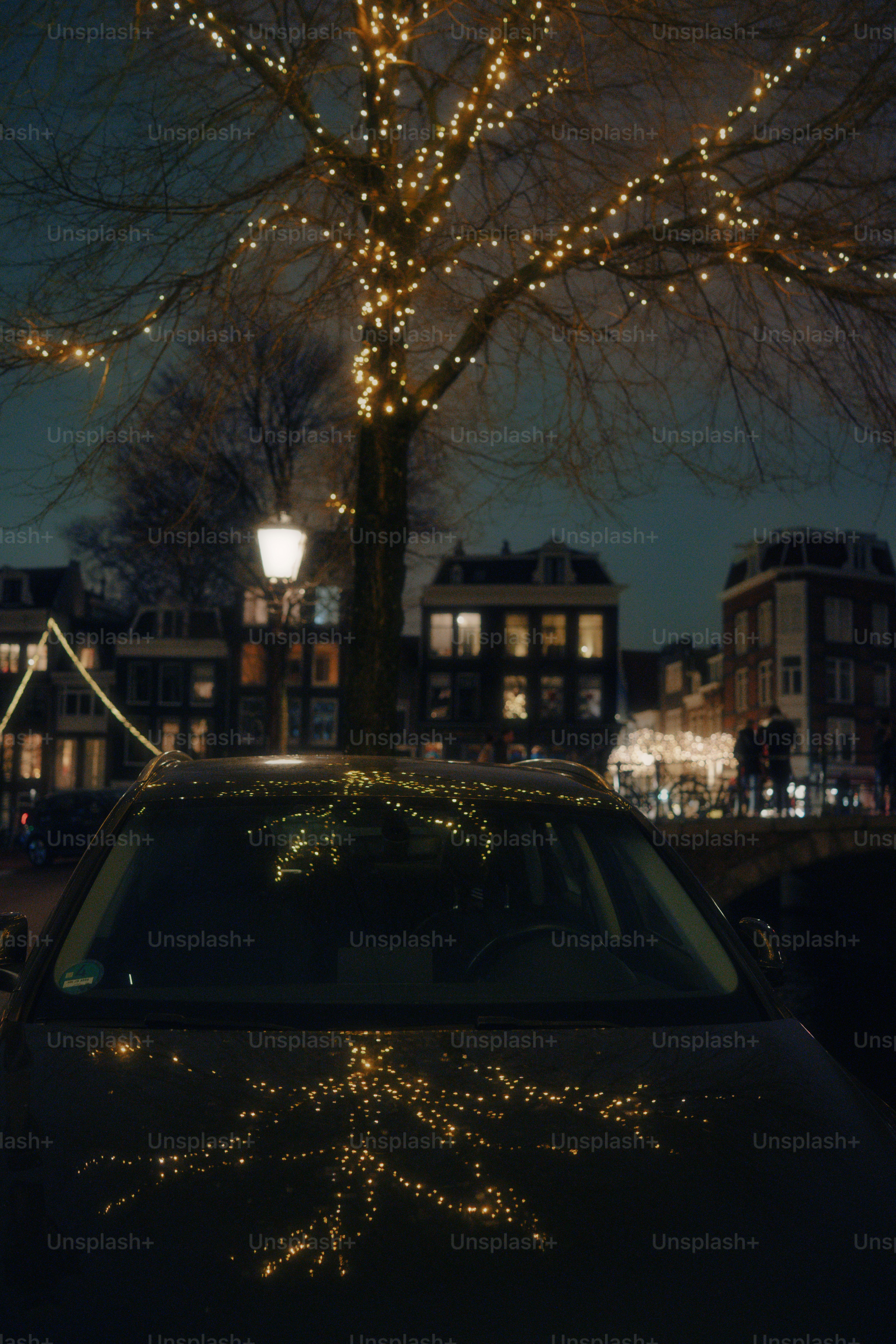 Christmas tree glowing in a window at night photo – Christmas Image on ...