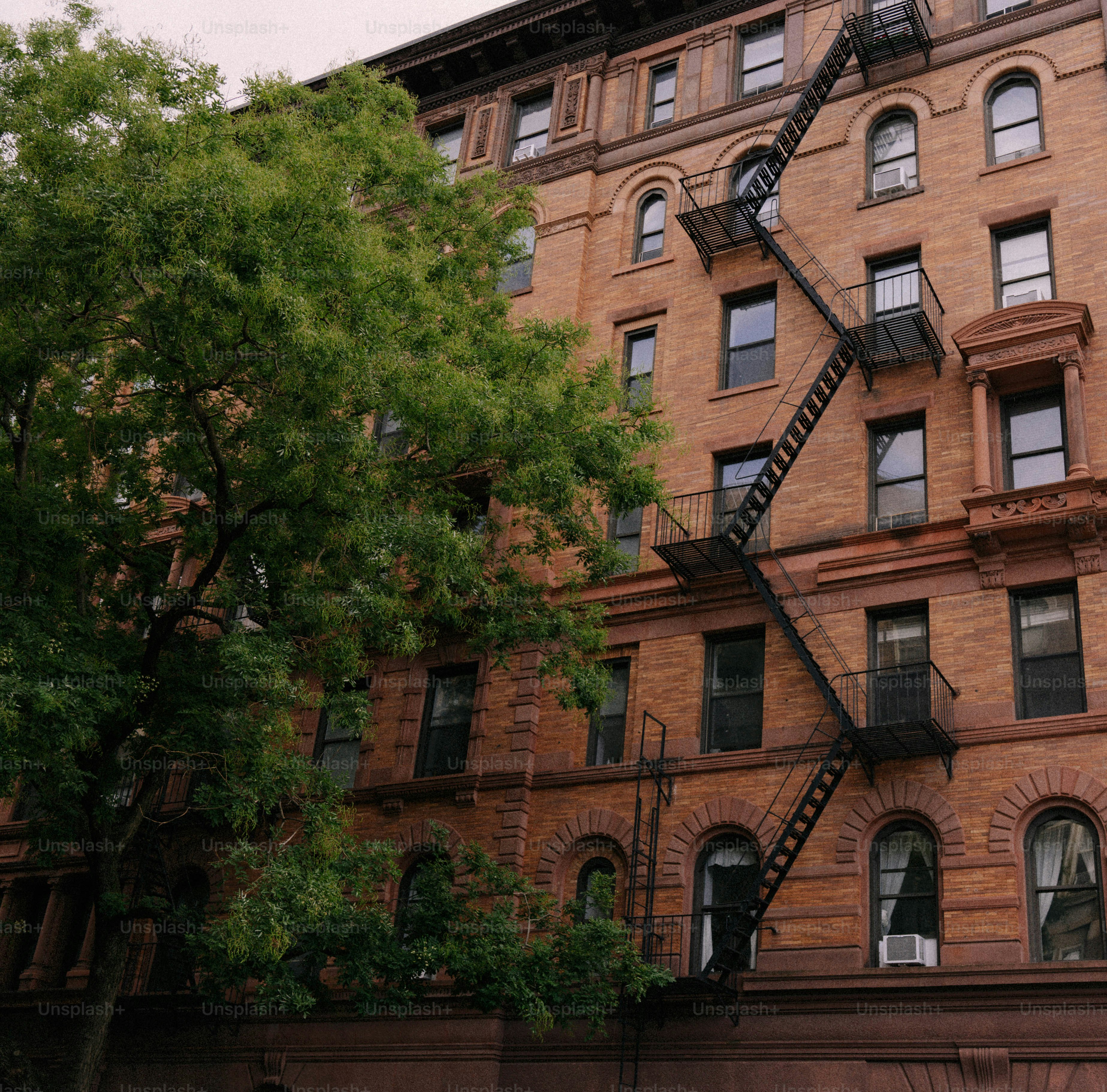 非常階段と木があるレンガ造りのアパート