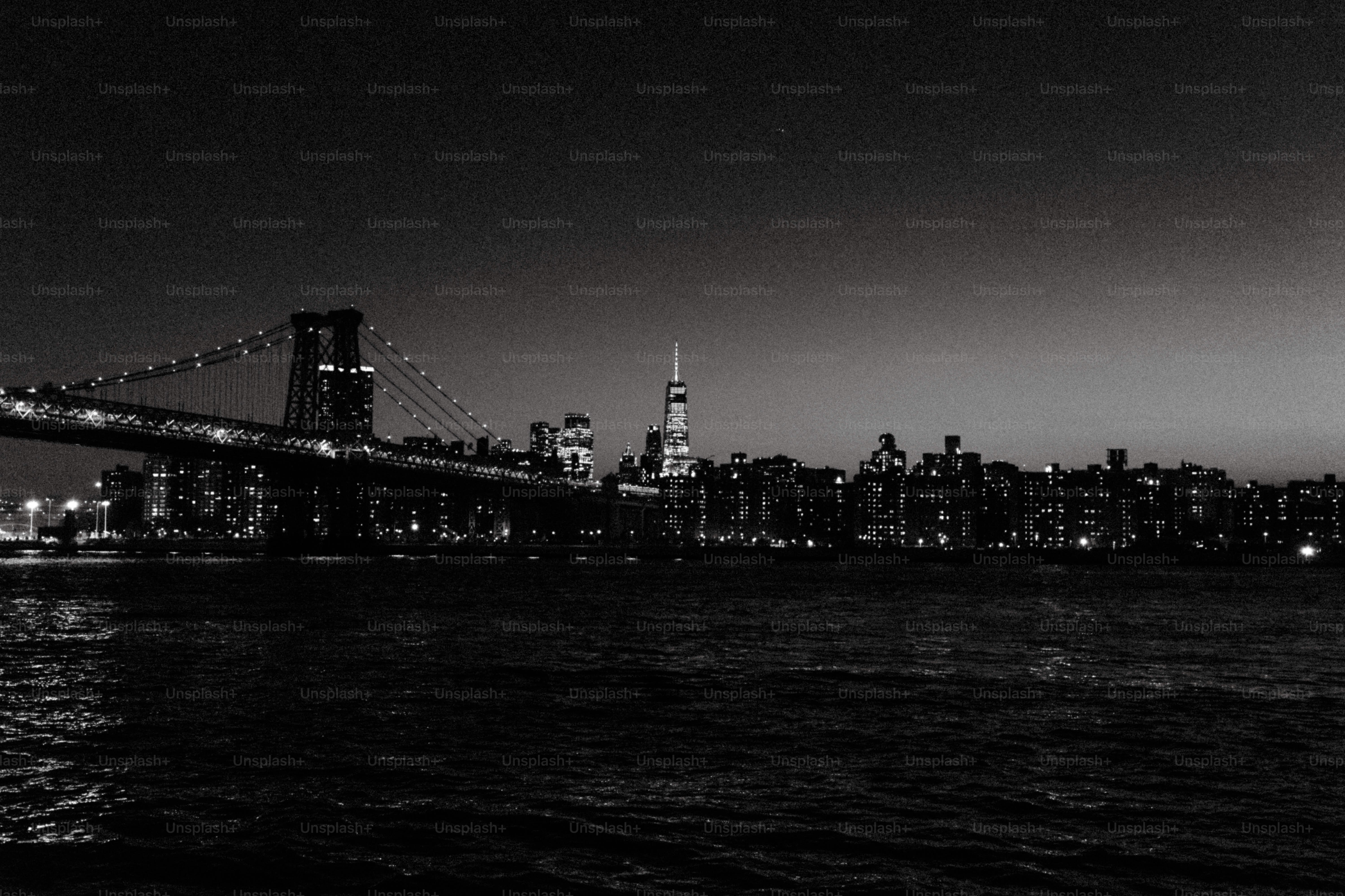 New york city skyline and bridge at night