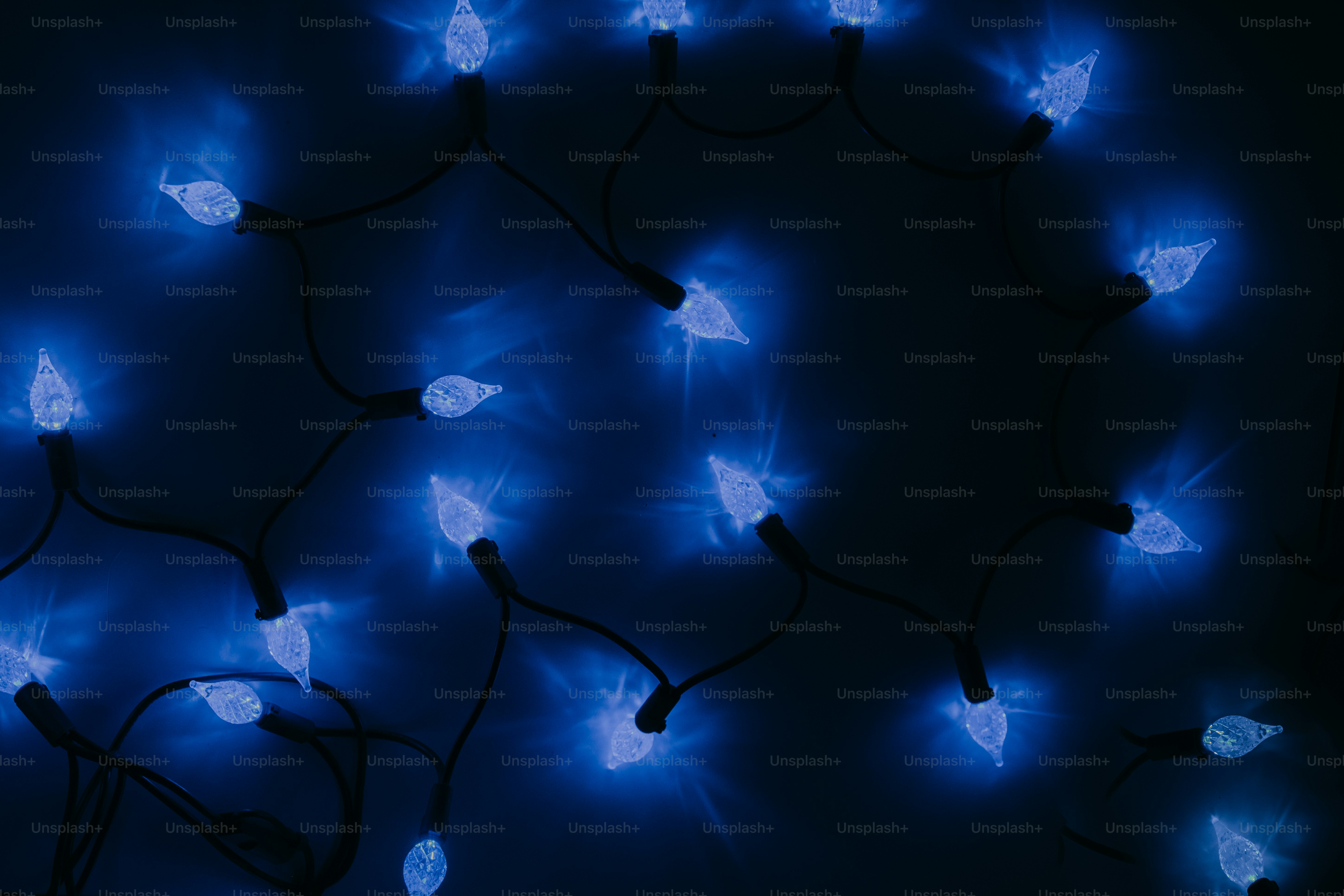 A string of blue christmas lights glows