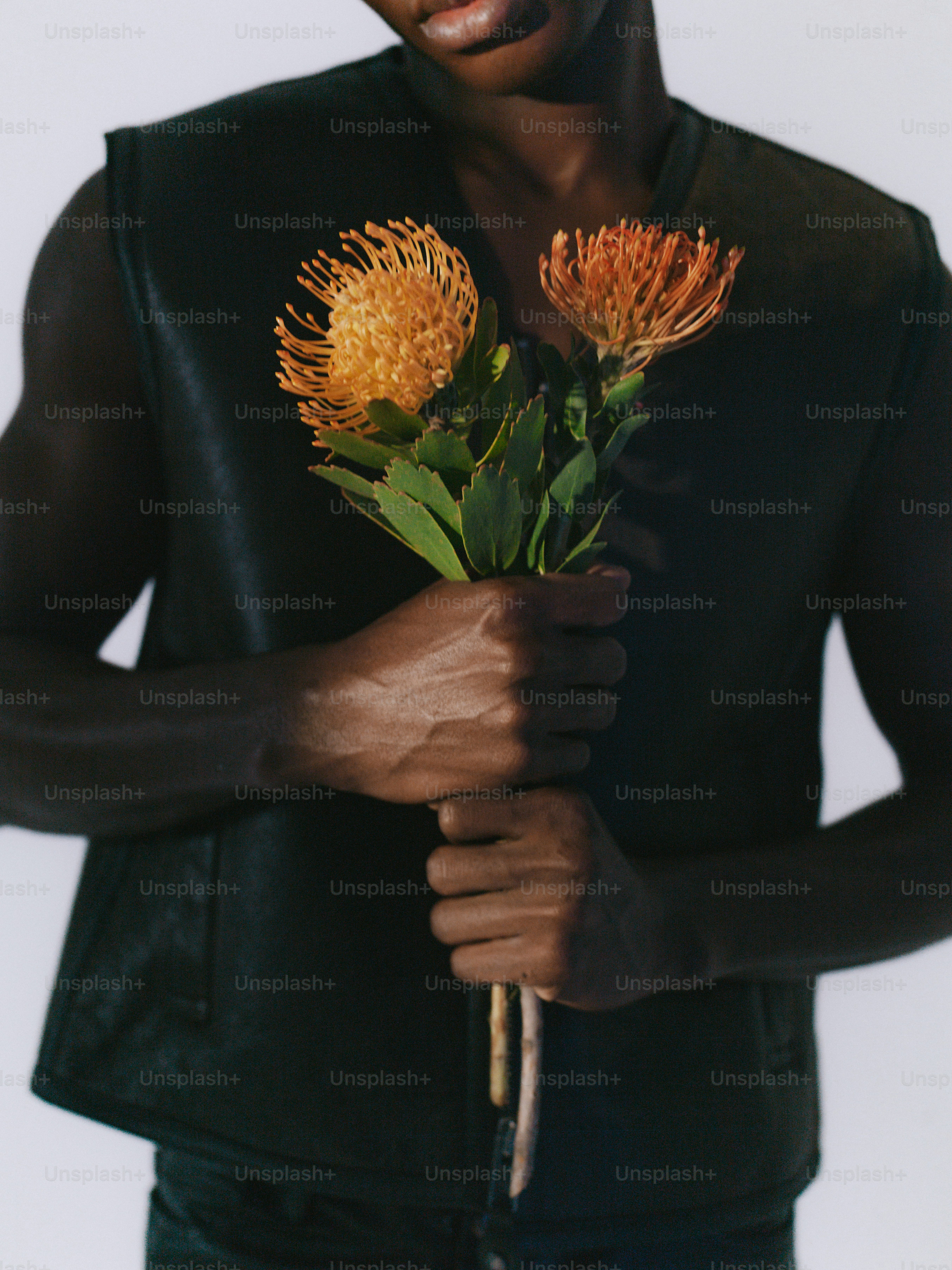 Uomo che tiene due fiori protea arancioni a forma di spillo.