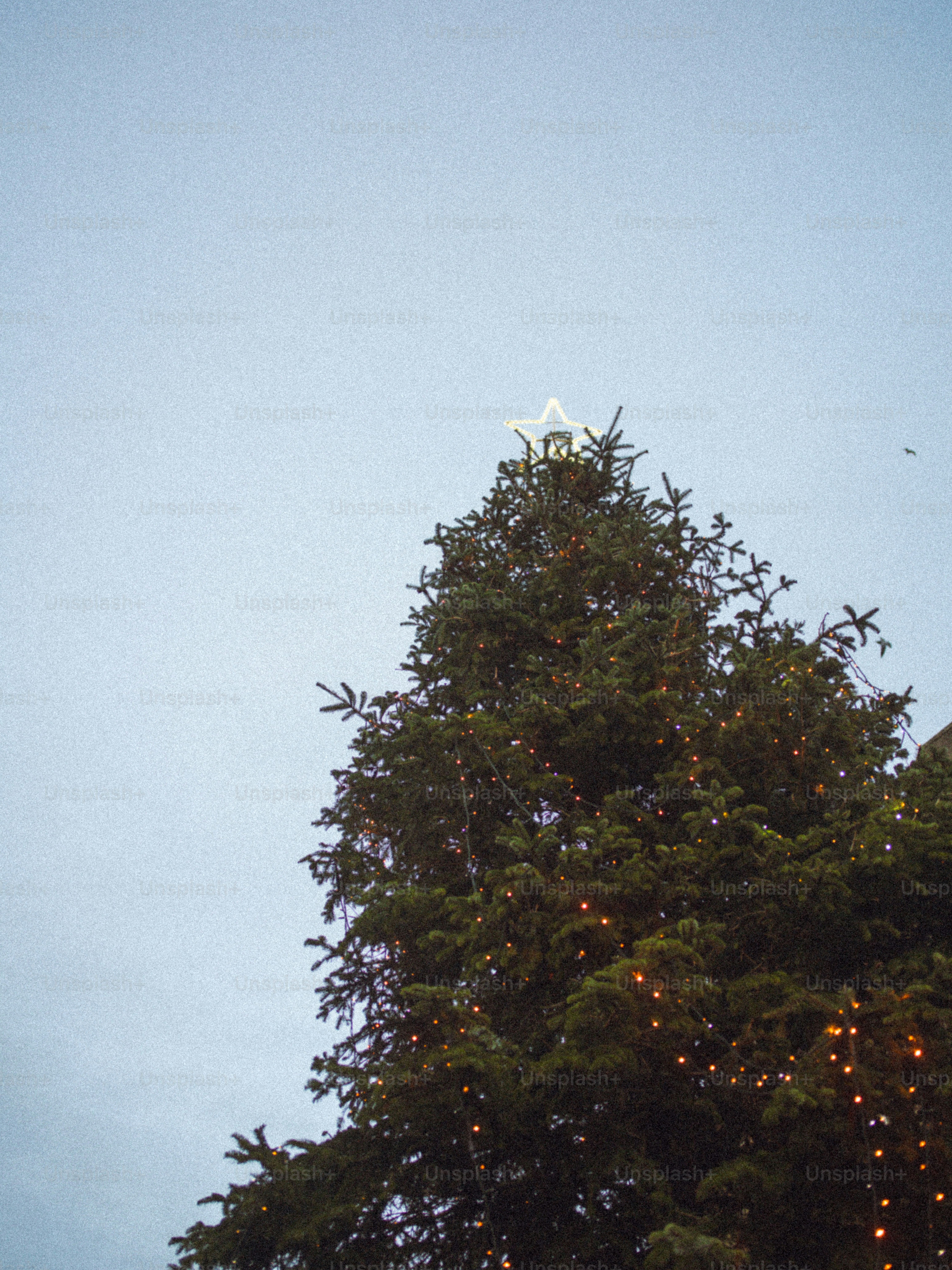 A decorated christmas tree with a star on top.