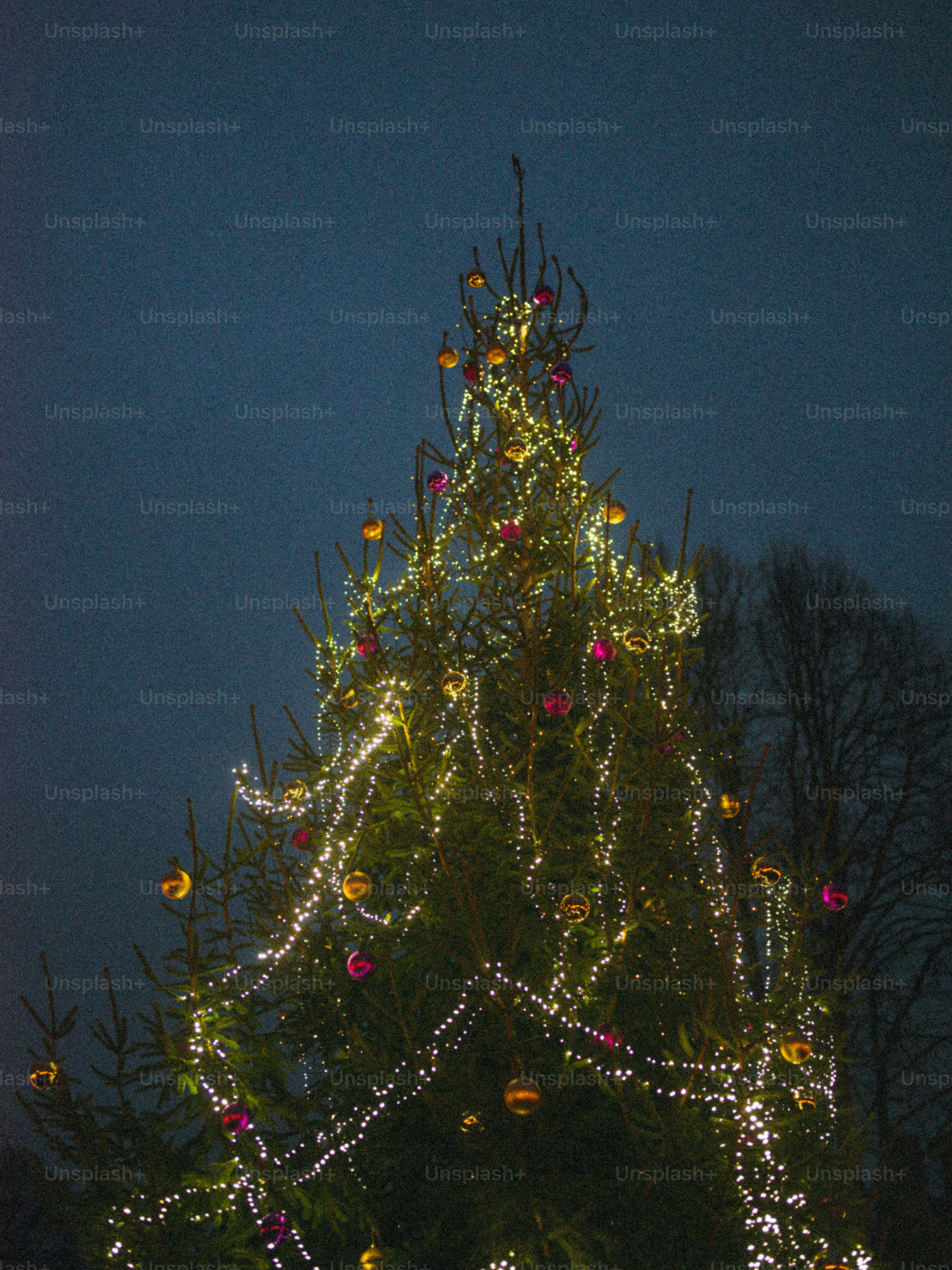 Nachts mit Lichtern geschmückten Weihnachtsbaum