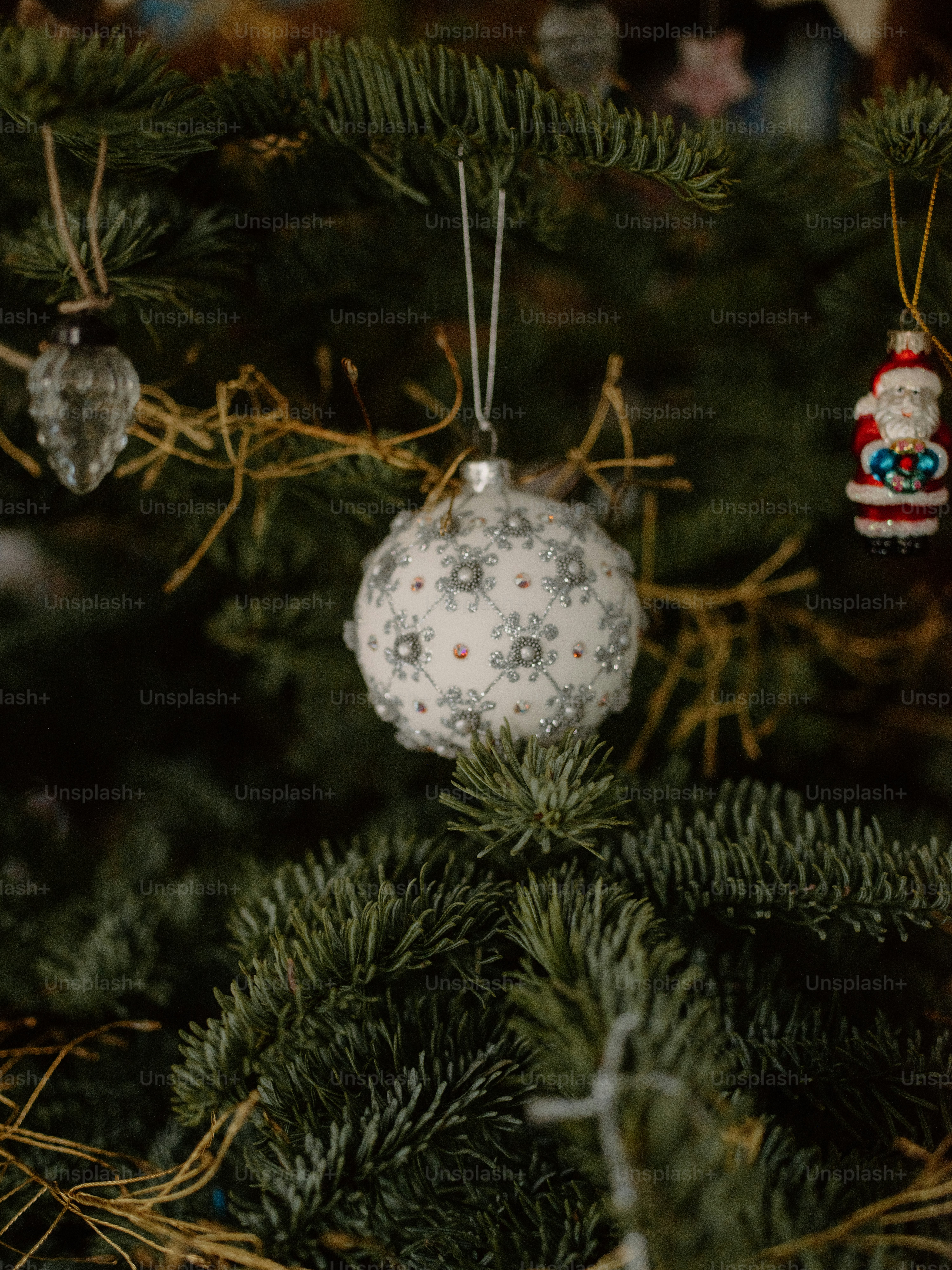 Close de enfeites de árvore de Natal pendurados nos galhos.