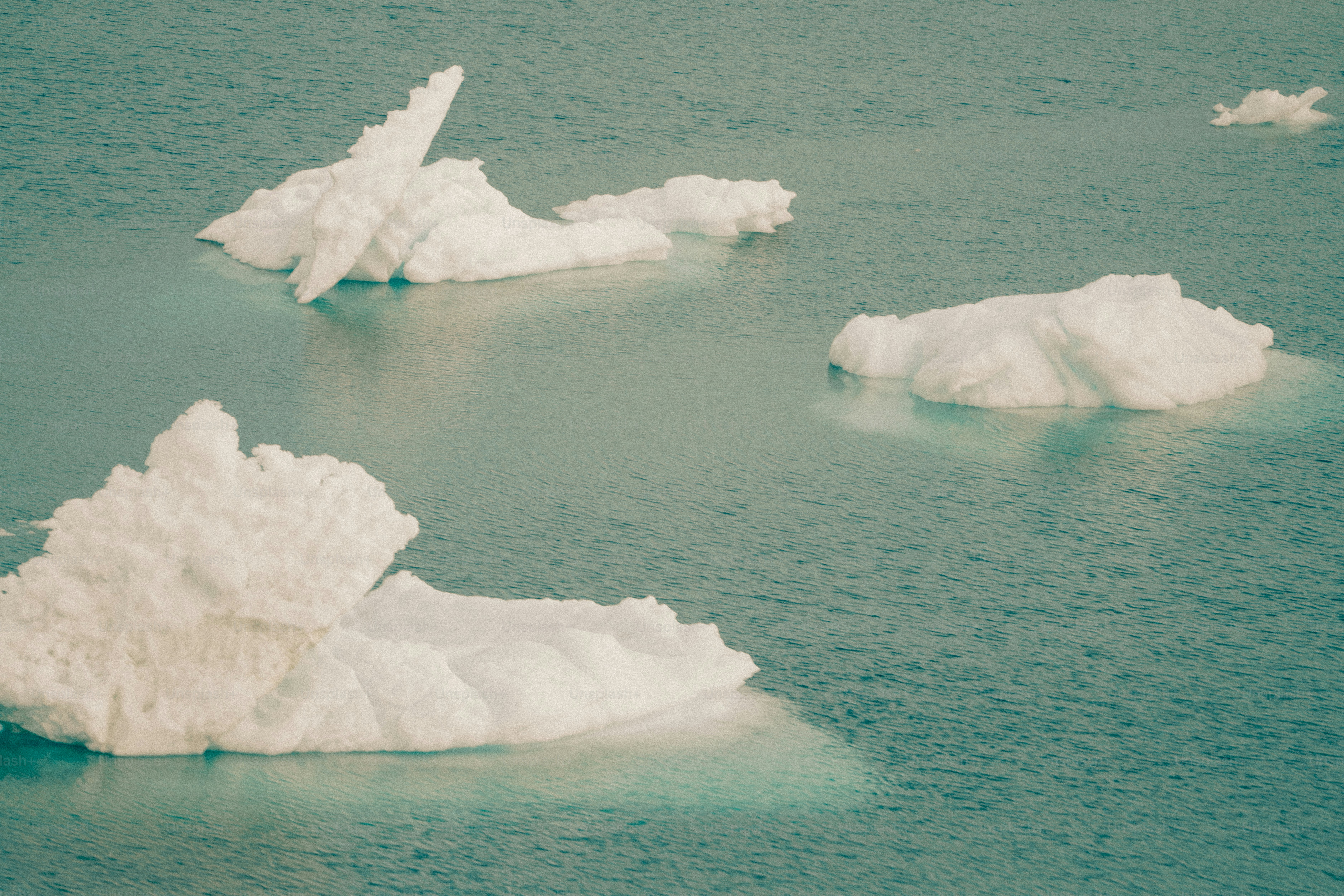 Icebergs floating in a calm, blue ocean.