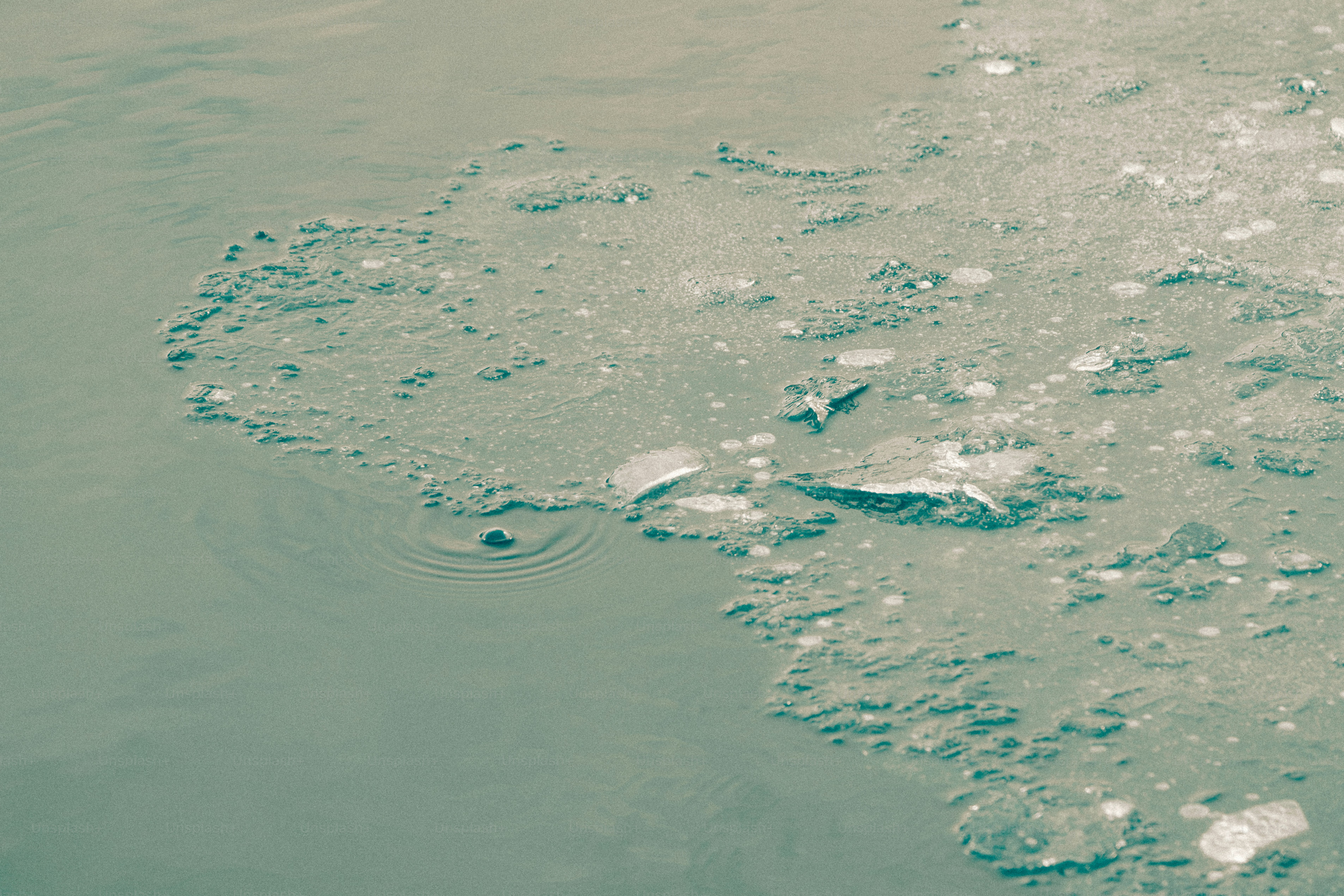 Blasen und Trümmer, die auf trüber Wasseroberfläche treiben
