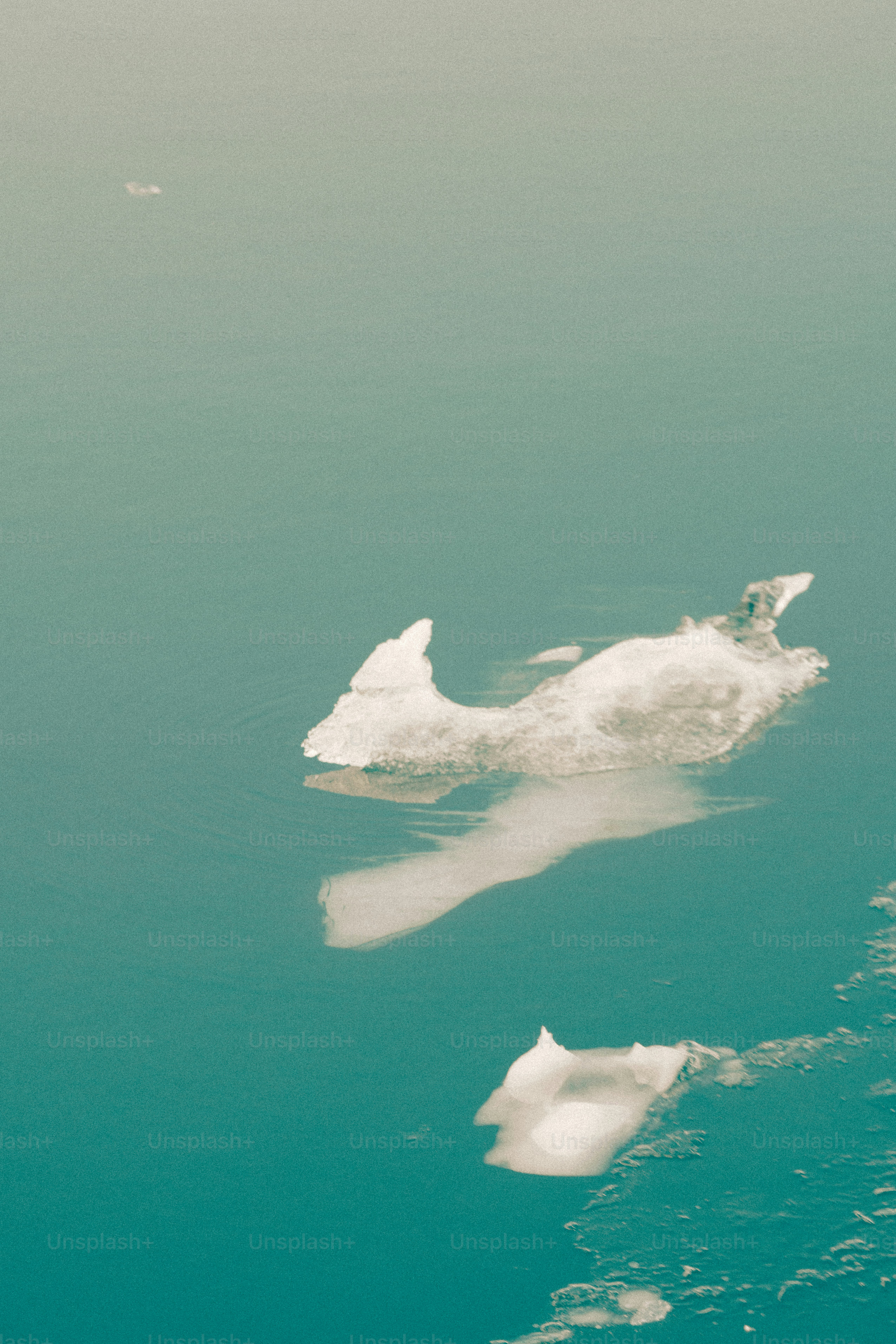 Icebergs floating on calm blue water